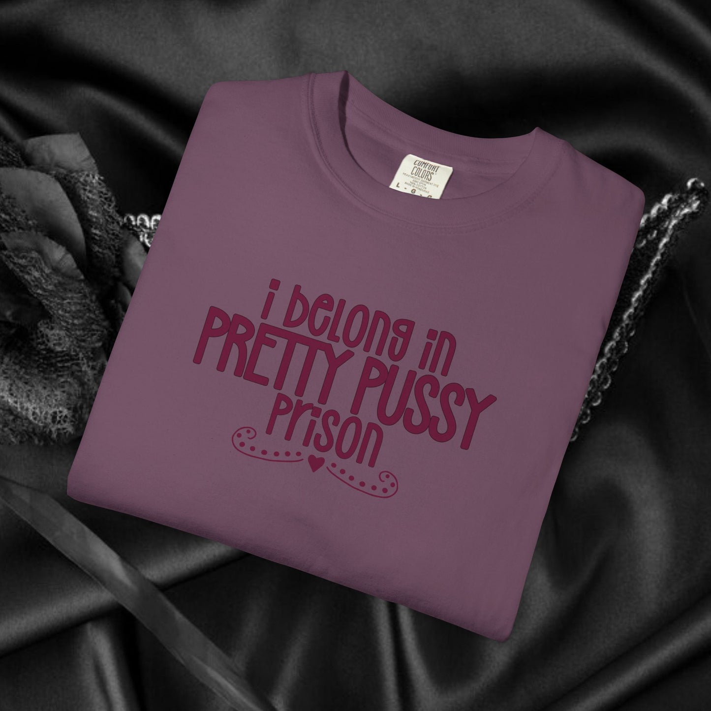 Pretty P*ssy Prison, Funny Adult T-shirt, Offensive Ladies Shirt, Unisex