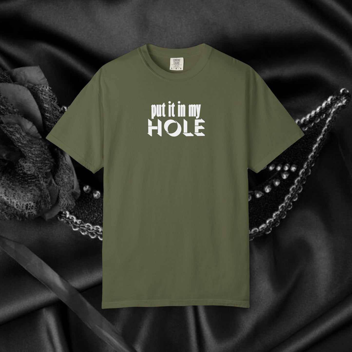 Put it in My Hole provacative ladies tshirt, shocking apparel, gag gift for women