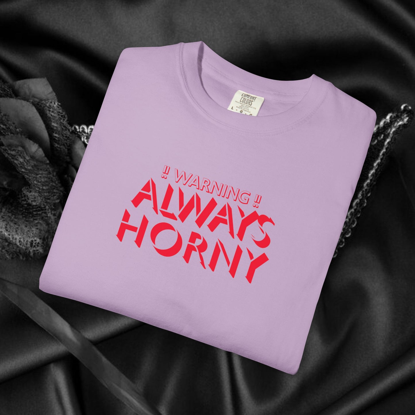 Naughty Shirt Women's Tshirt, Sexy Saying Tee, Inappropriate Ladies Comfort Colors, Funny Mature Apparel, Offensive Wife Gift, Horny Joke
