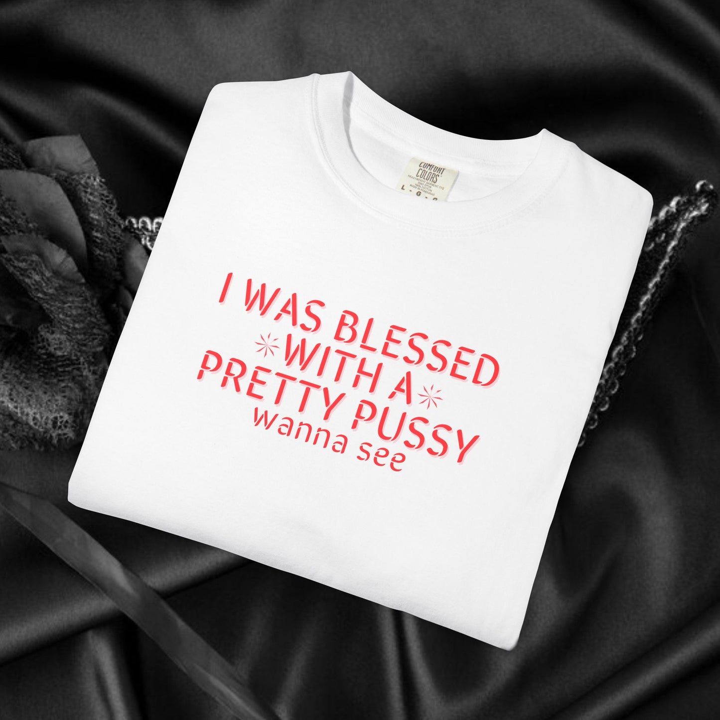 I Was Blessed With a Pretty P*ssy T-Shirt – Naughty Girl P*ssy Power MILF Shirt, Adult Humor Party Tee