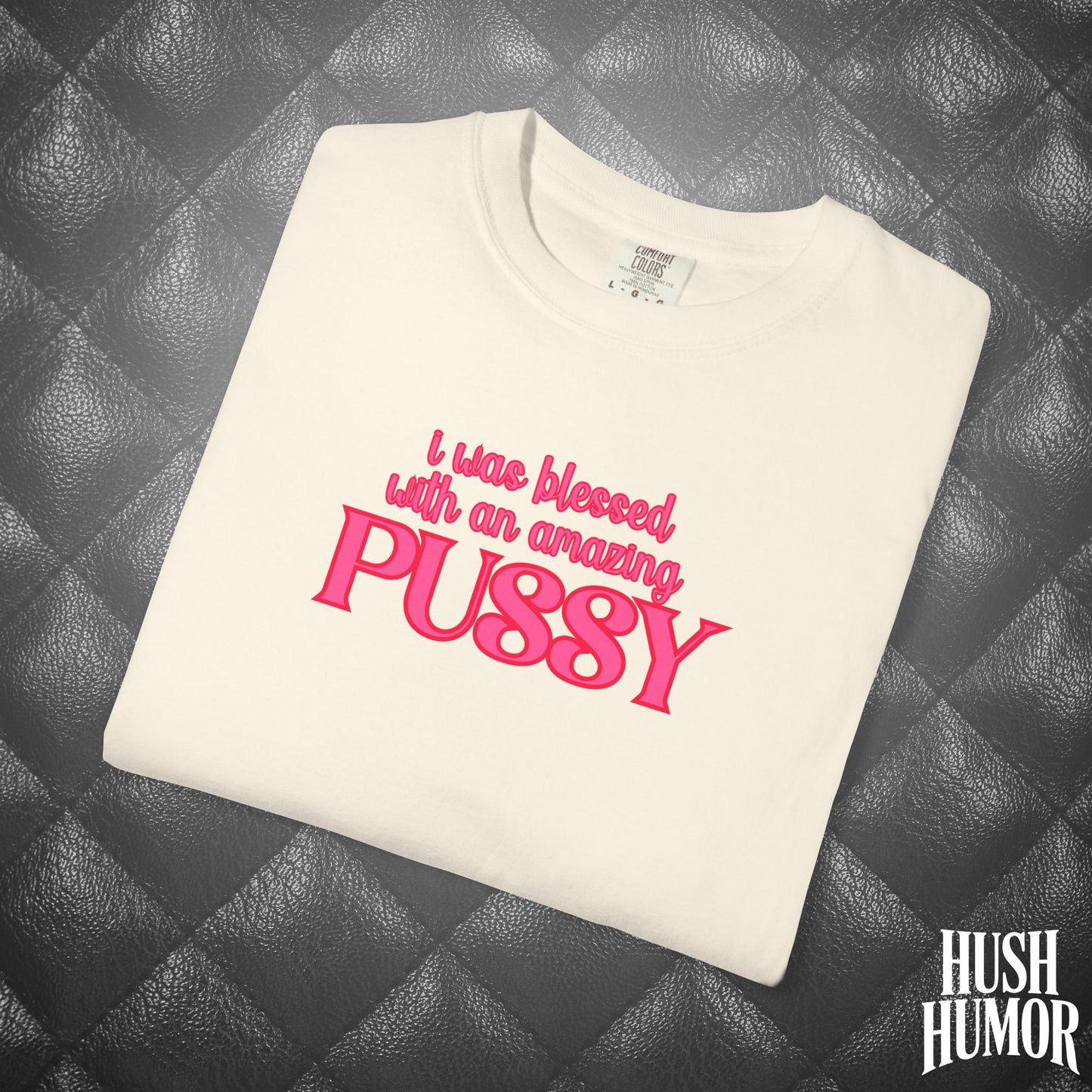 I Was Blessed With an Amazing Psssy Shirt – Funny NSFW T-Shirt for Naughty Wife