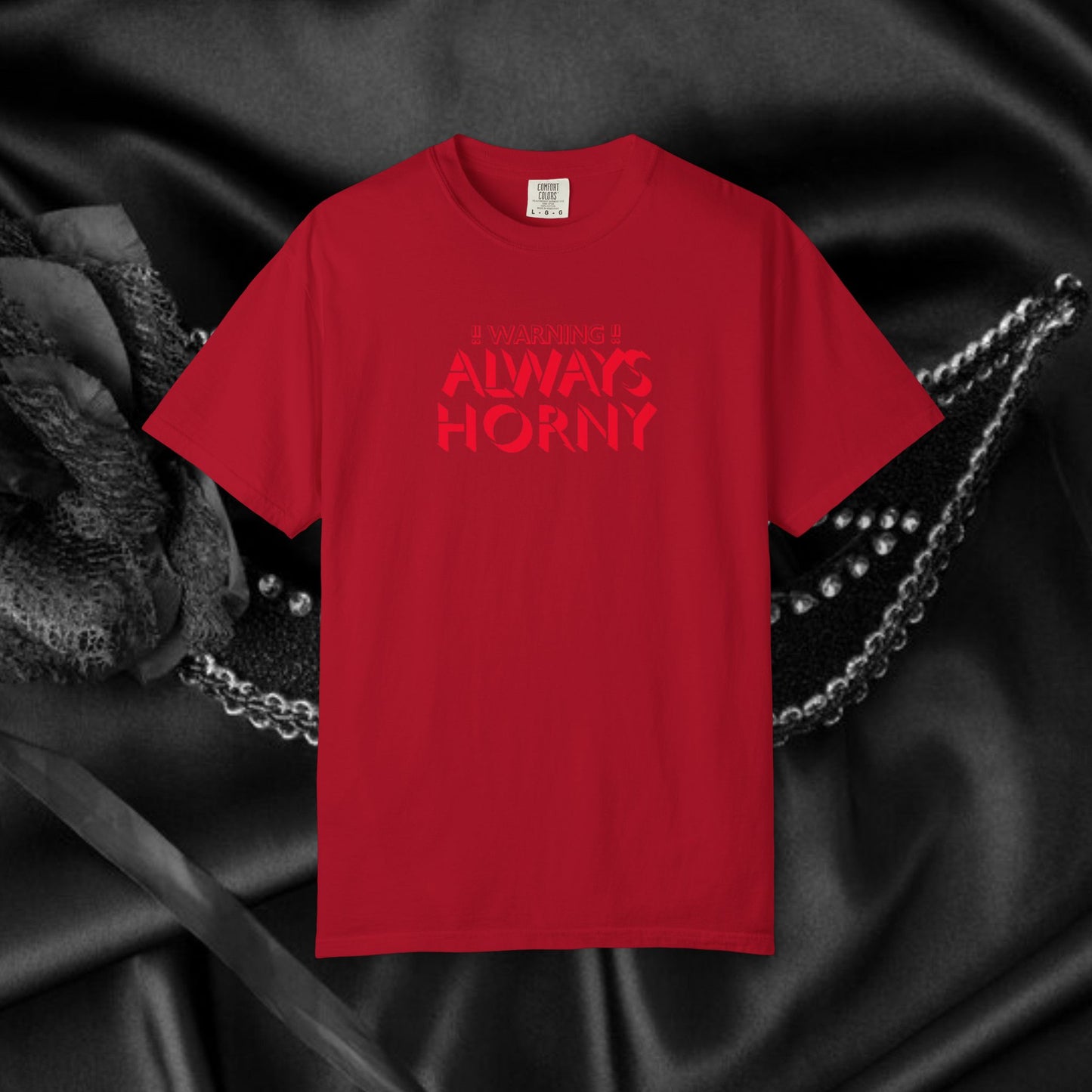Naughty Shirt Women's Tshirt, Sexy Saying Tee, Inappropriate Ladies Comfort Colors, Funny Mature Apparel, Offensive Wife Gift, Horny Joke