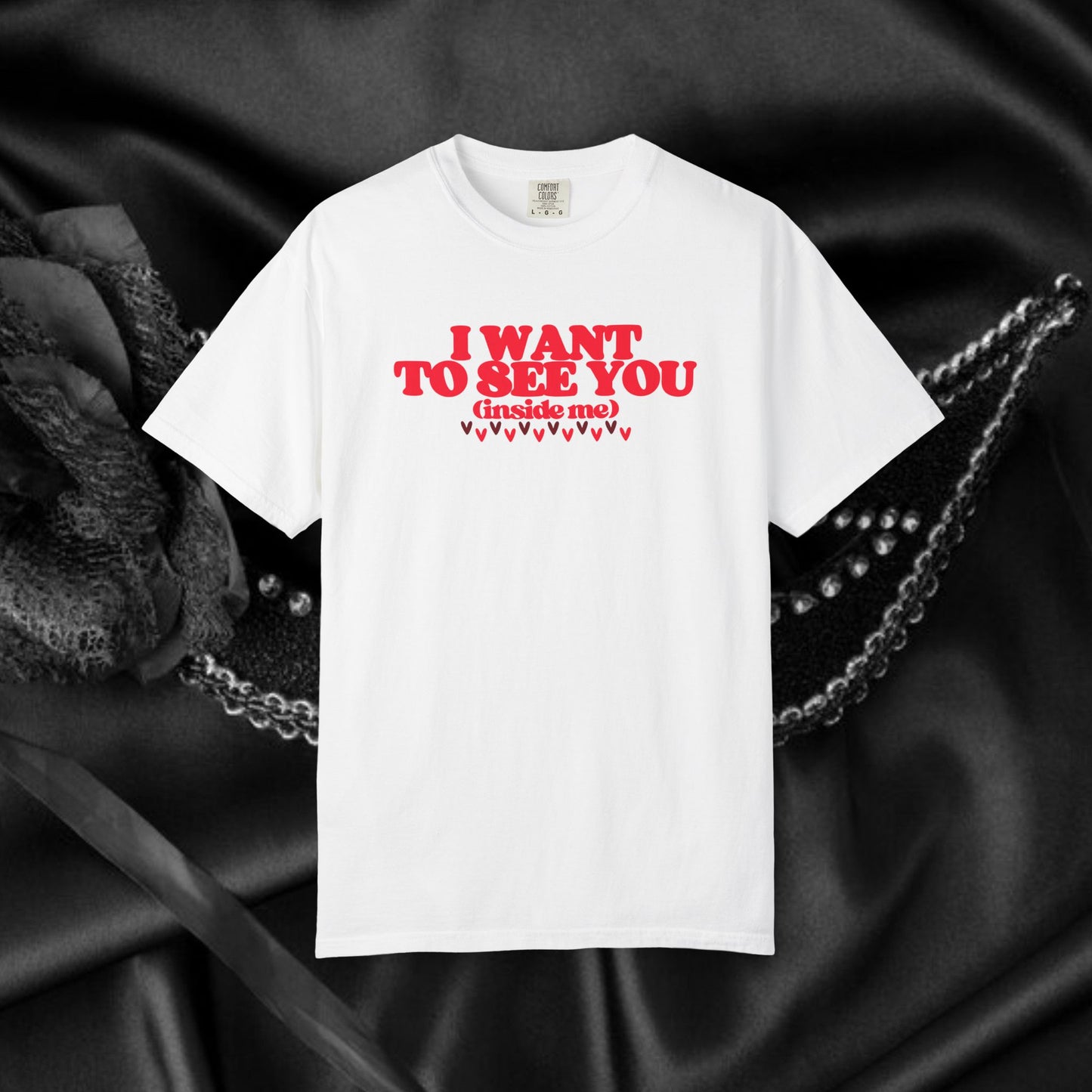 I Want to See You Inside Me, dirty apparel for naughty girls, Funny Saying tshirt NSFW Apparel