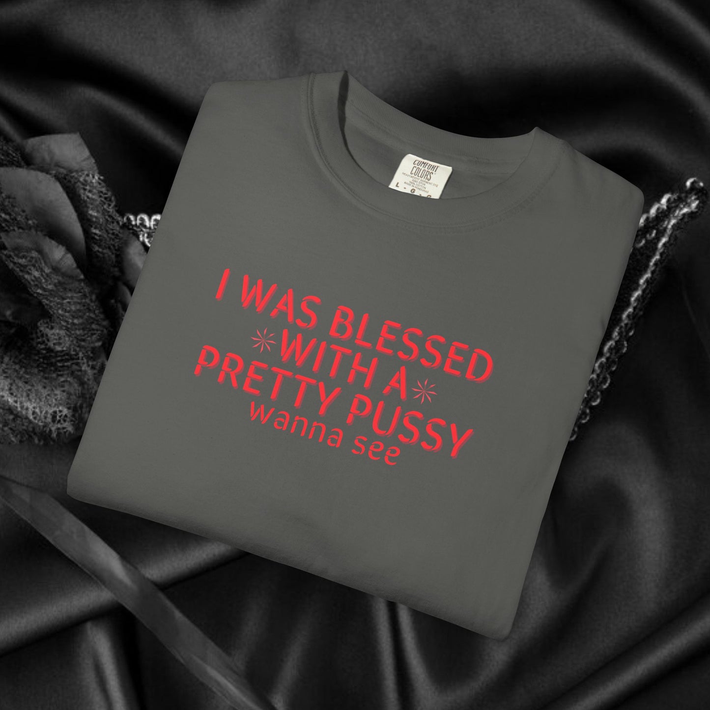 I Was Blessed With a Pretty P*ssy T-Shirt – Naughty Girl P*ssy Power MILF Shirt, Adult Humor Party Tee