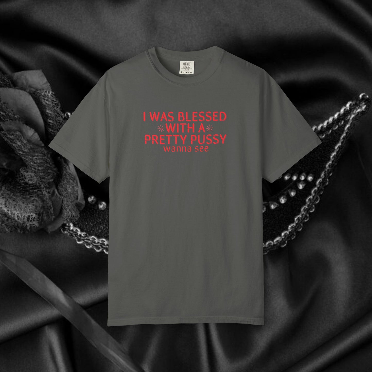 I Was Blessed With a Pretty P*ssy T-Shirt – Naughty Girl P*ssy Power MILF Shirt, Adult Humor Party Tee