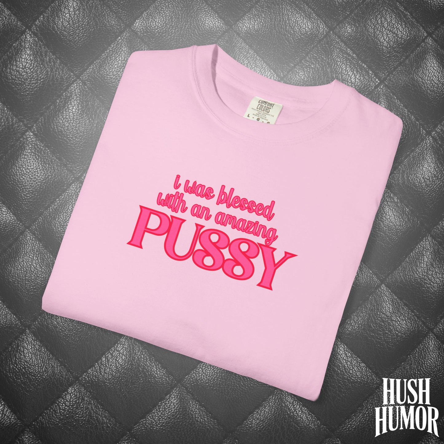 I Was Blessed With an Amazing Psssy Shirt – Funny NSFW T-Shirt for Naughty Wife