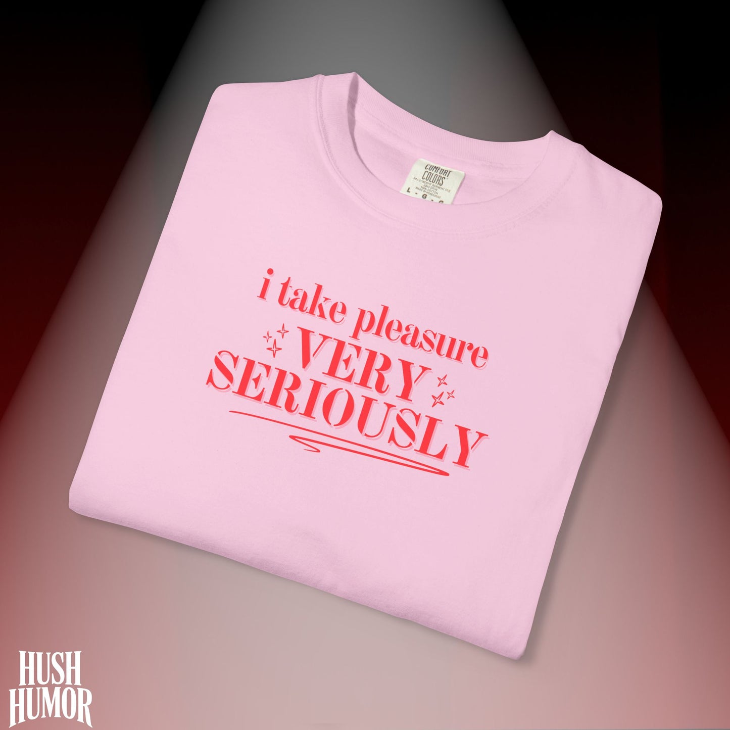 FEMdom T-Shirt | Naughty BDSM Lifestyle Tee | Sexy NSFW Pleasure Shirt | Offensive Shocking Gift for Hot Wife | Kinky Summer Party Top