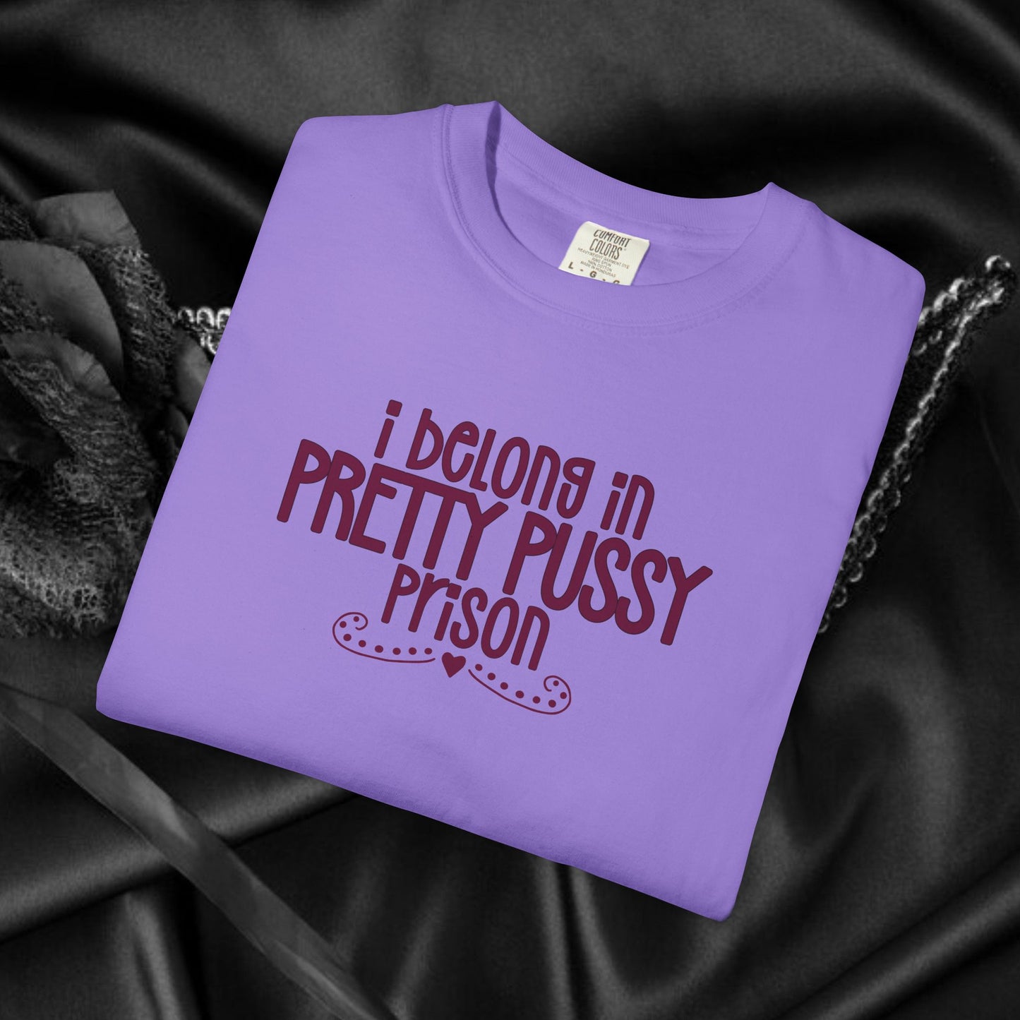 Pretty P*ssy Prison, Funny Adult T-shirt, Offensive Ladies Shirt, Unisex