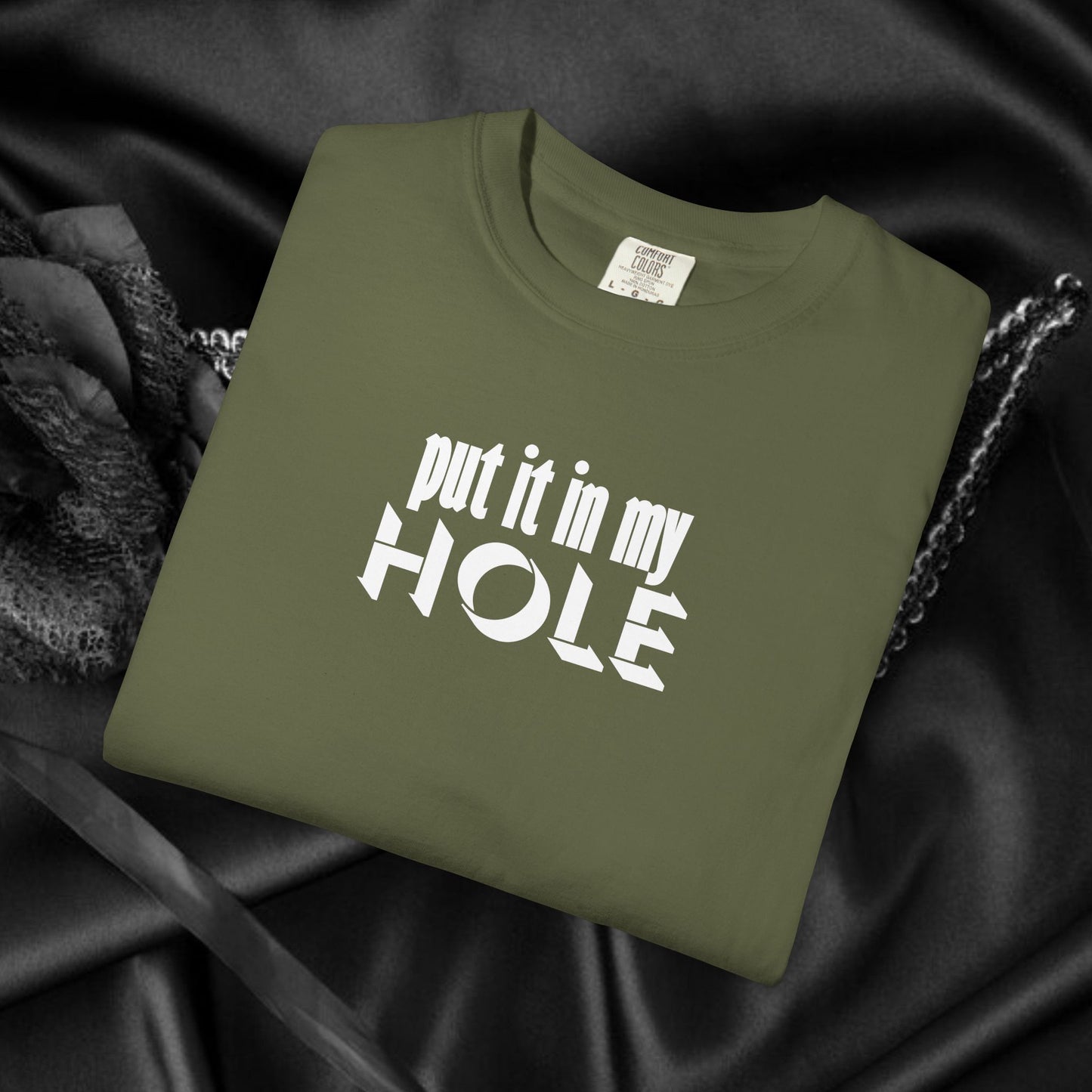 Put it in My Hole provacative ladies tshirt, shocking apparel, gag gift for women