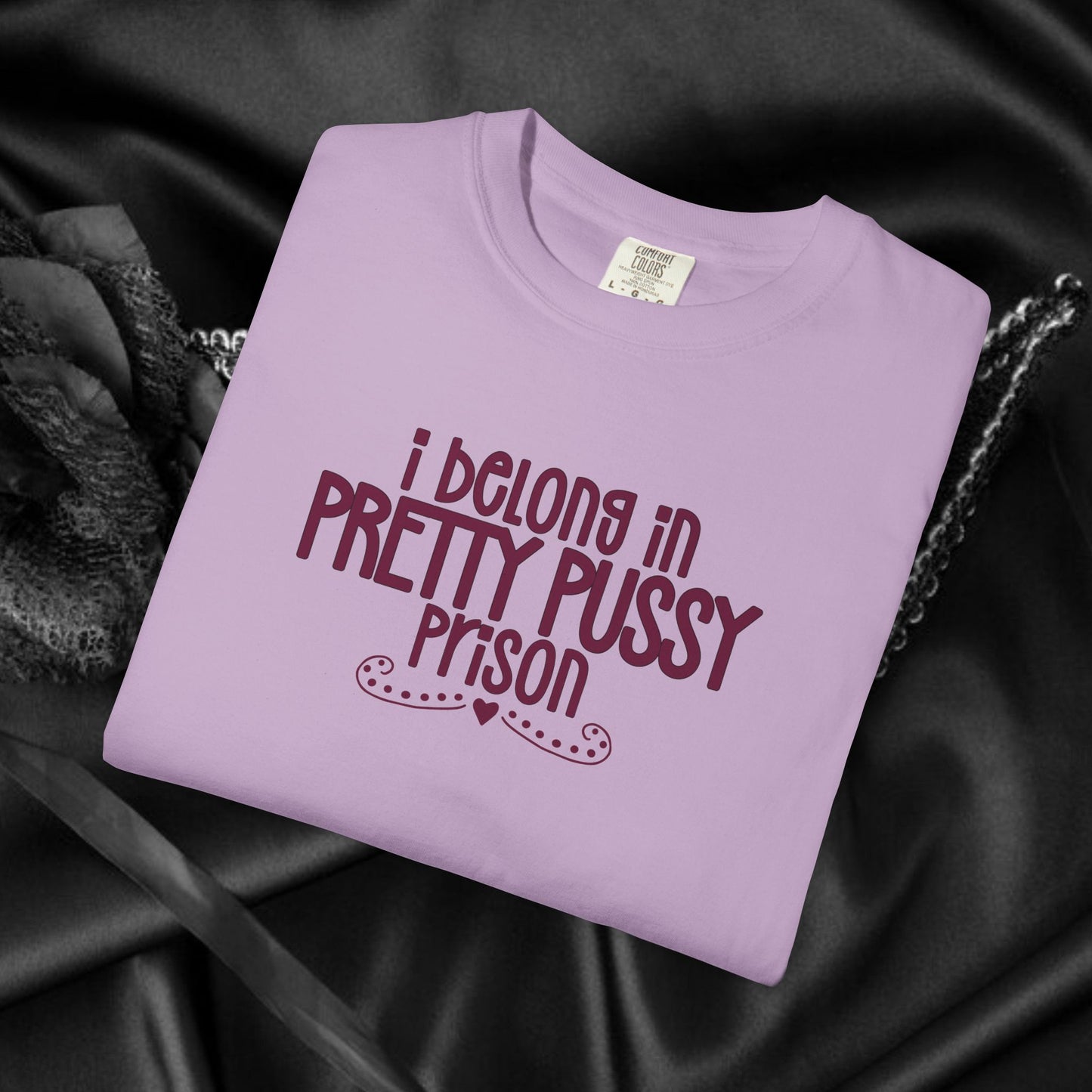 Pretty P*ssy Prison, Funny Adult T-shirt, Offensive Ladies Shirt, Unisex