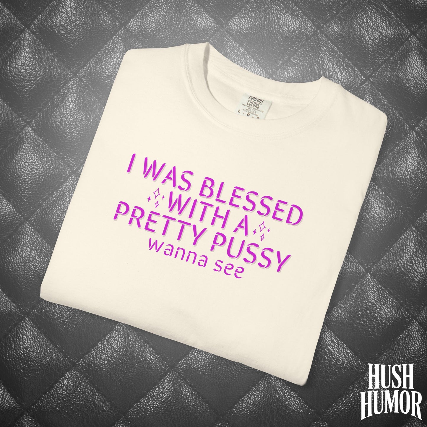 I Was Blessed With a Pretty Psssy T-Shirt – Naughty Girl Power Shirt, Dirty Wife Tee, Kink Shirt