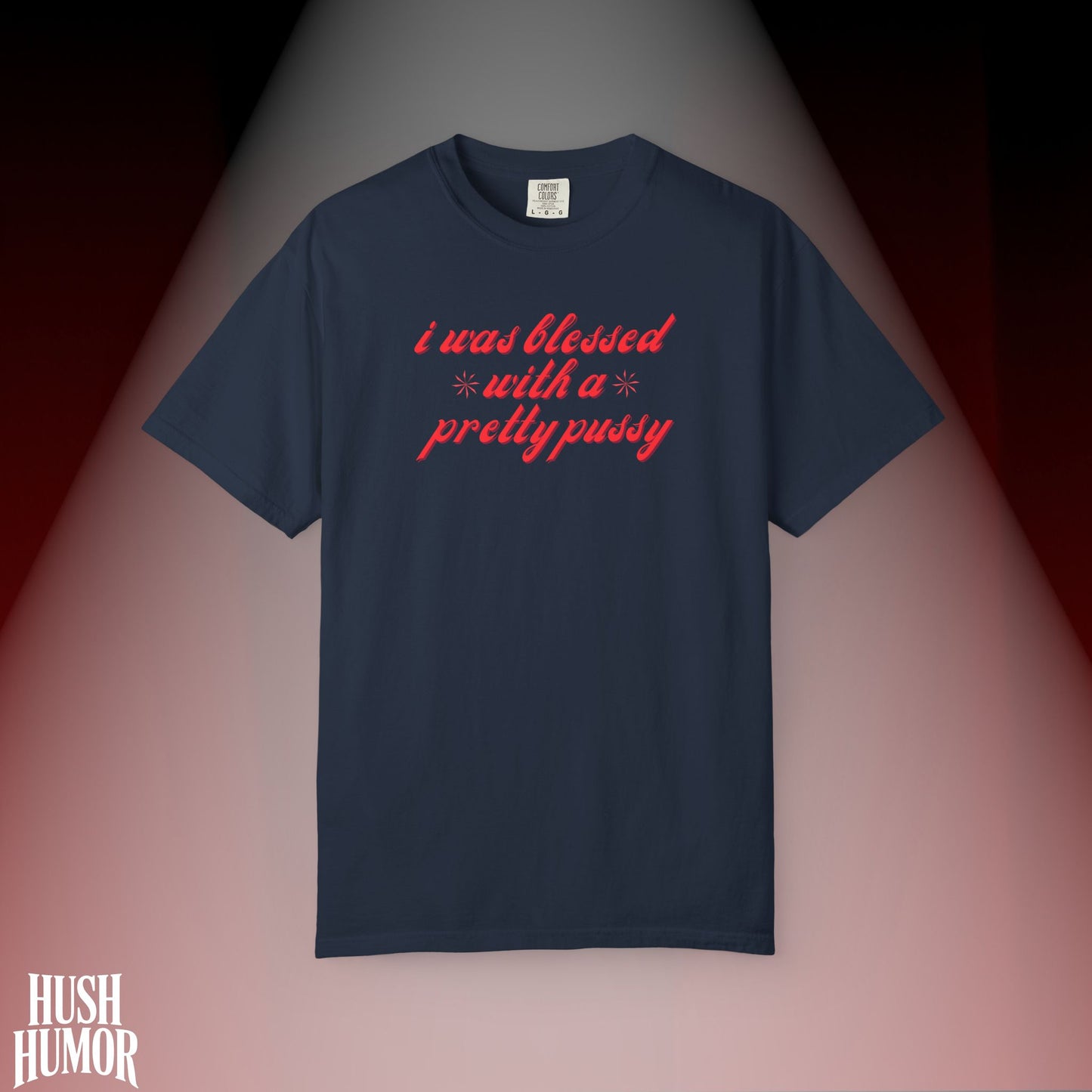 I Was Blessed With a Pretty Psssy T-Shirt Dirty MILF BDSM Dom/Sub Graphic Shirt