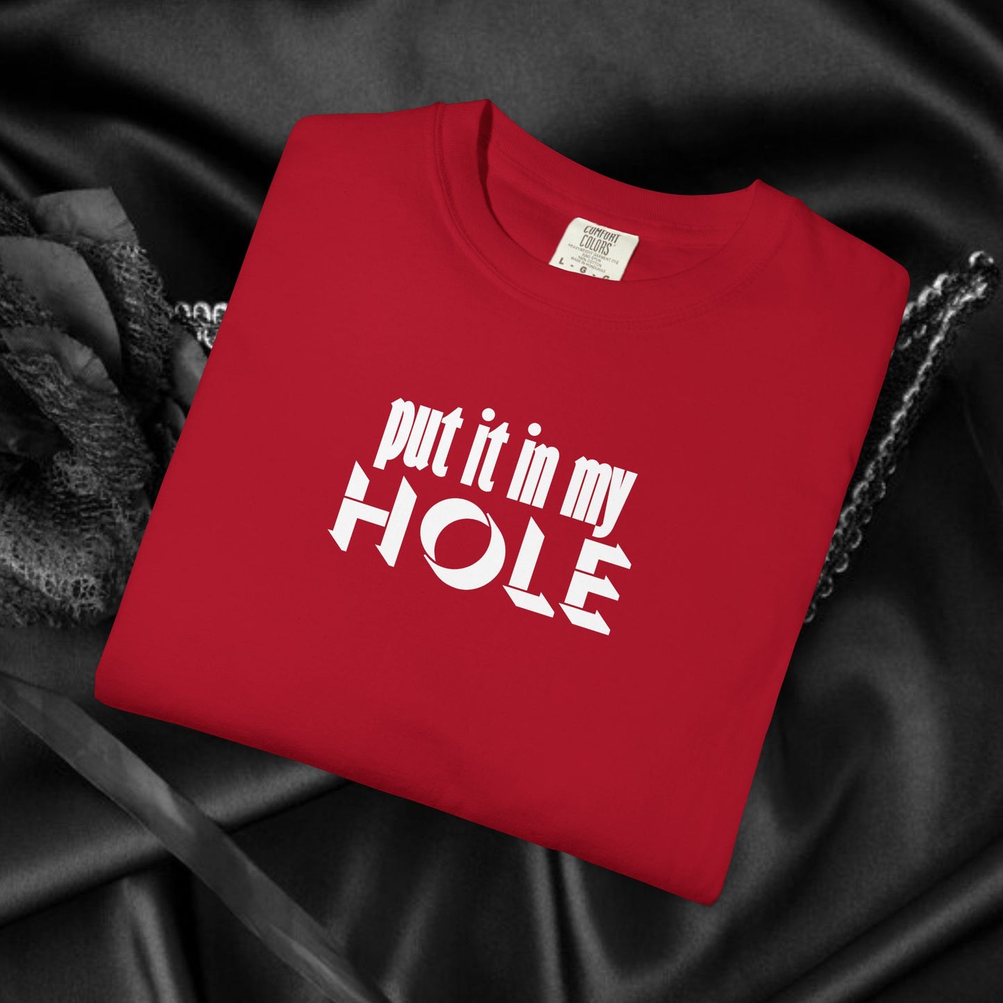 Put it in My Hole provacative ladies tshirt, shocking apparel, gag gift for women