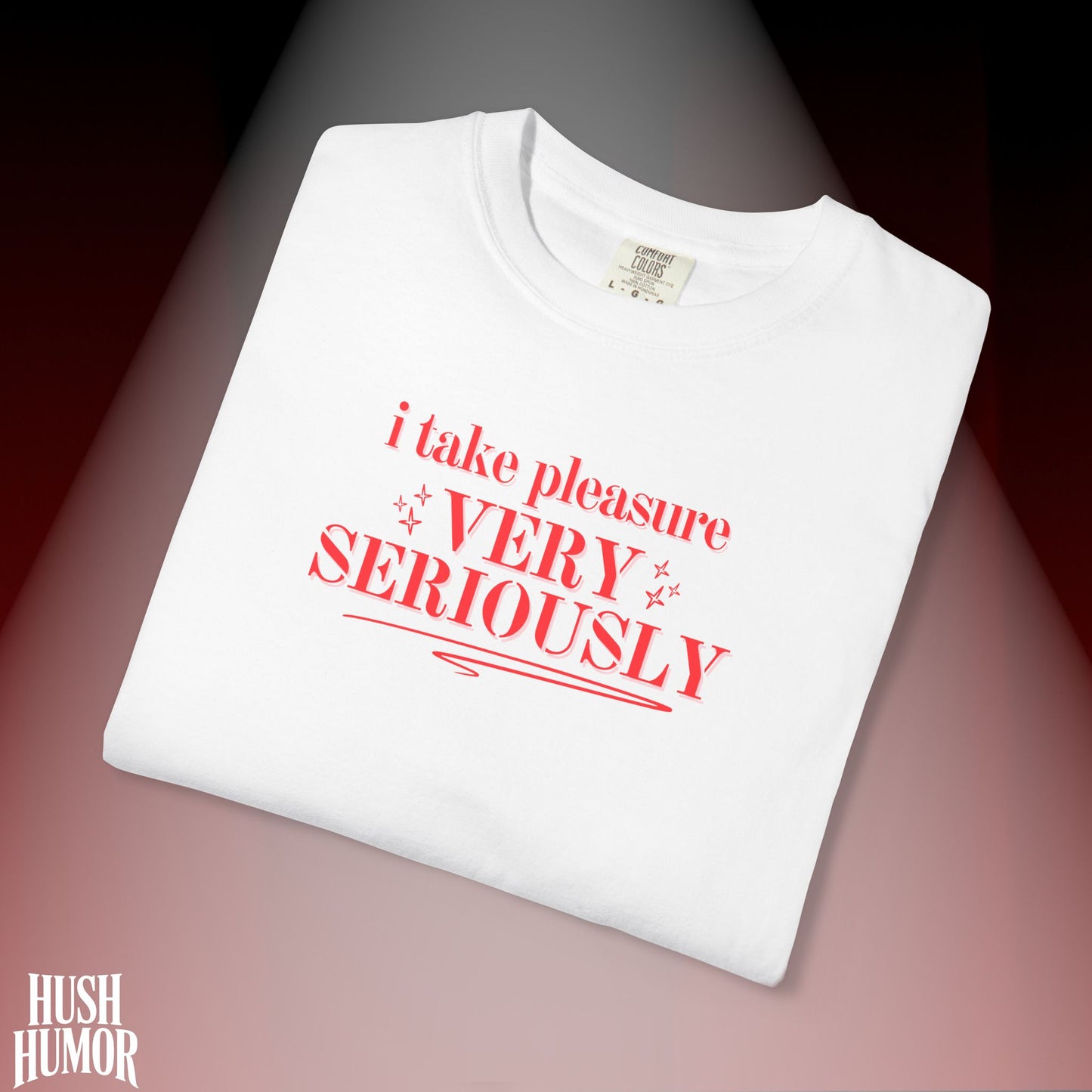 FEMdom T-Shirt | Naughty BDSM Lifestyle Tee | Sexy NSFW Pleasure Shirt | Offensive Shocking Gift for Hot Wife | Kinky Summer Party Top