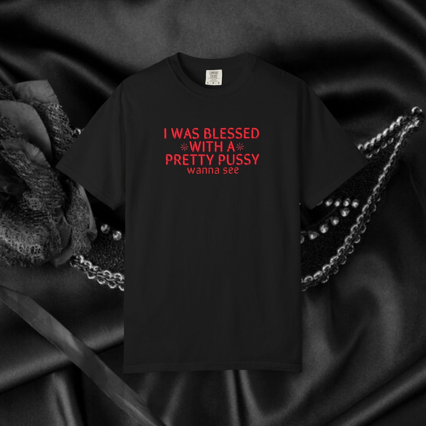 I Was Blessed With a Pretty P*ssy T-Shirt – Naughty Girl P*ssy Power MILF Shirt, Adult Humor Party Tee