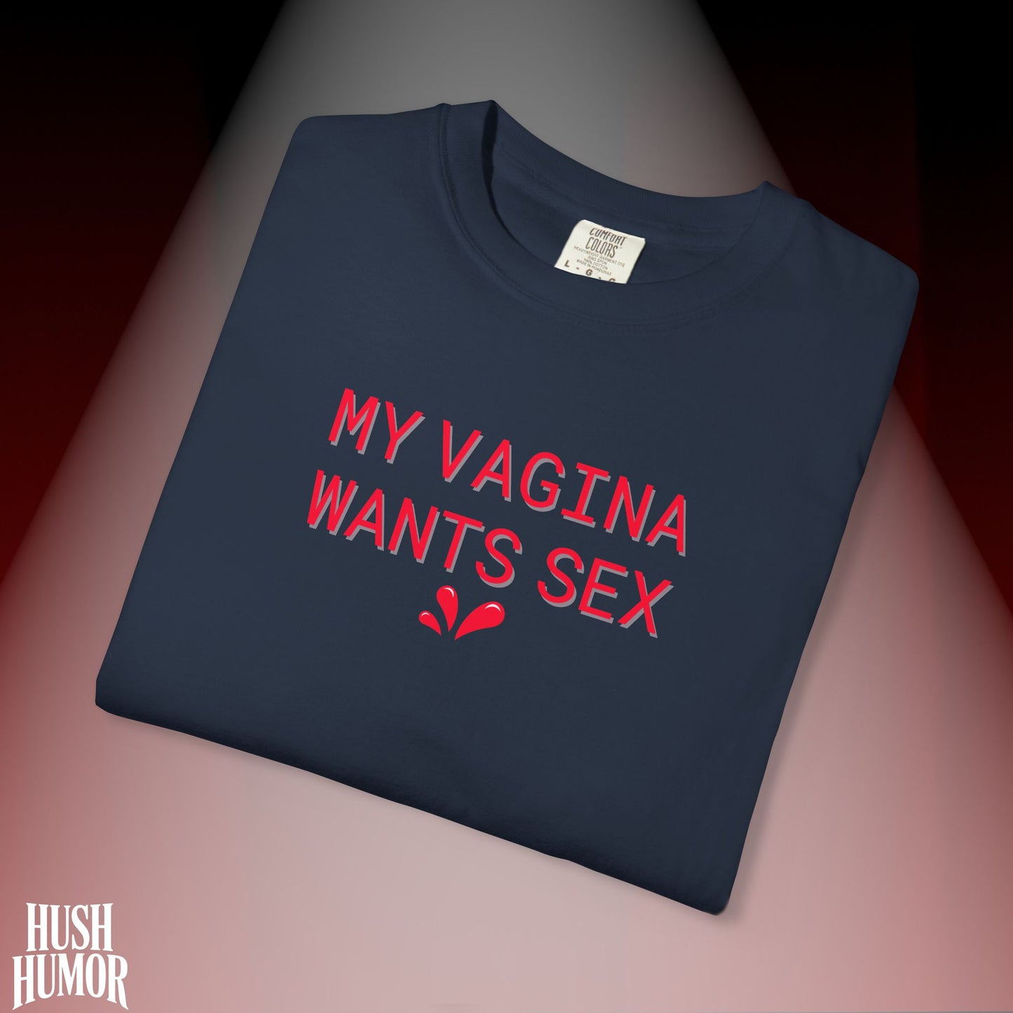 My Vagina Wants Sex Shirt – Funny NSFW T-Shirt for Hot Wife, Naughty Party Tee