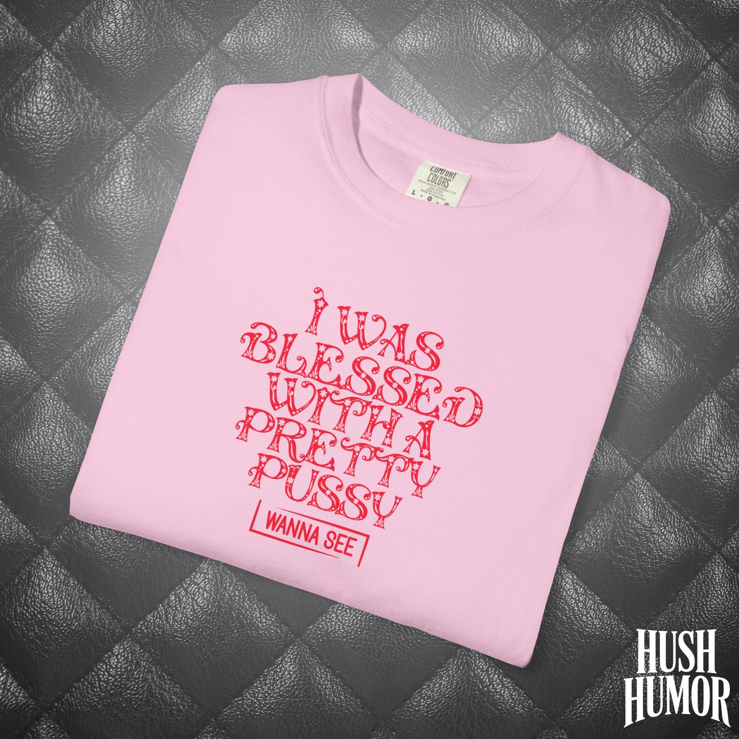 I Was Blessed with a Pretty Psssy Naughty T-Shirt – Girl Power FEMdom Shirt, Dirty MILF Gift, Hot Mom Graphic Tee, NSFW Summer Party Shirt