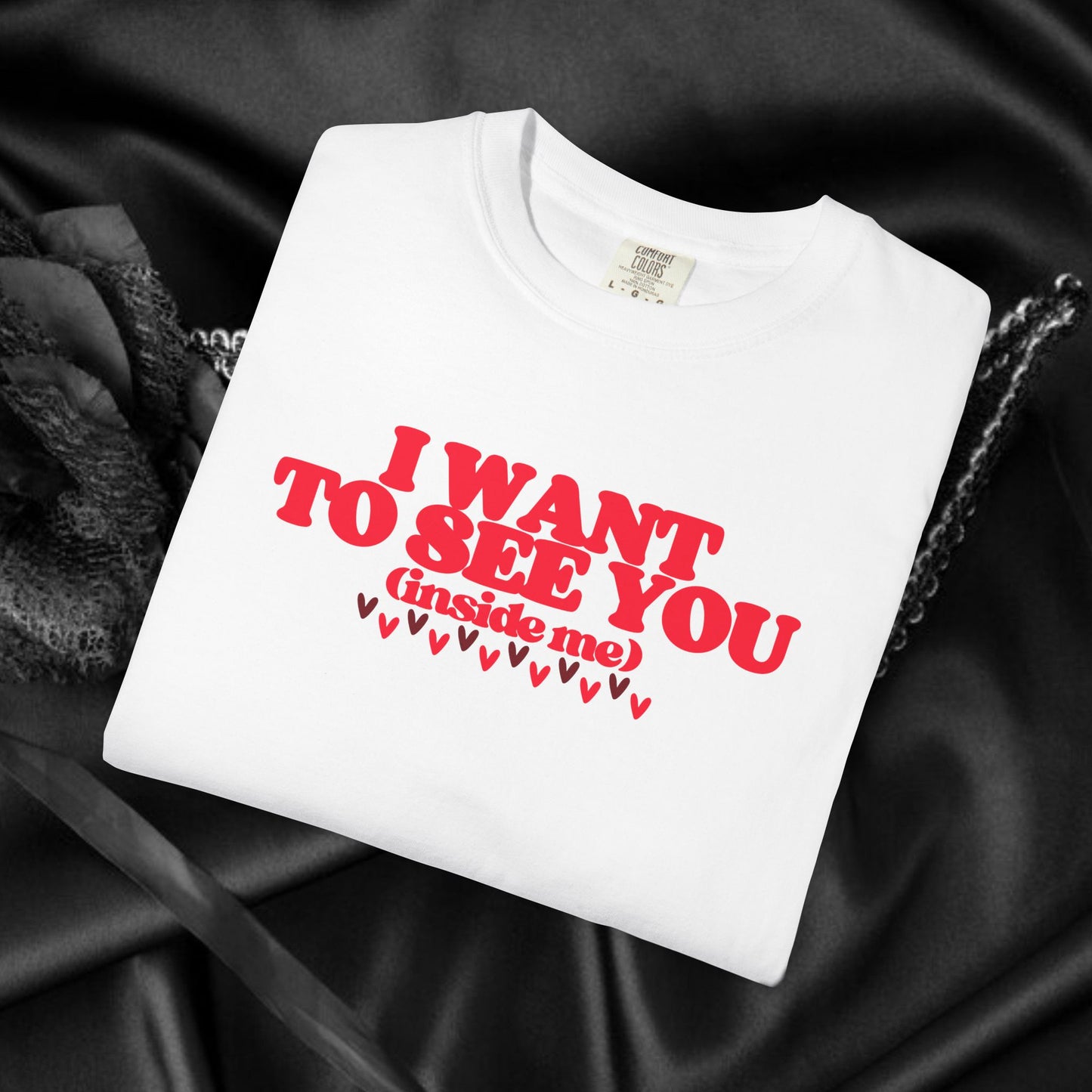 I Want to See You Inside Me, dirty apparel for naughty girls, Funny Saying tshirt NSFW Apparel