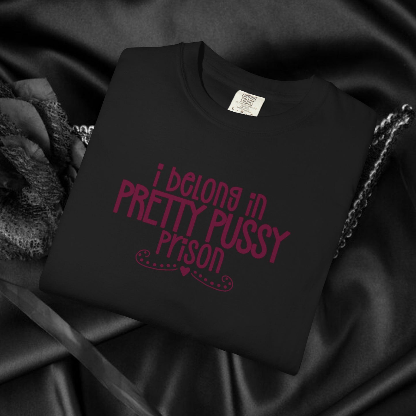 Pretty P*ssy Prison, Funny Adult T-shirt, Offensive Ladies Shirt, Unisex