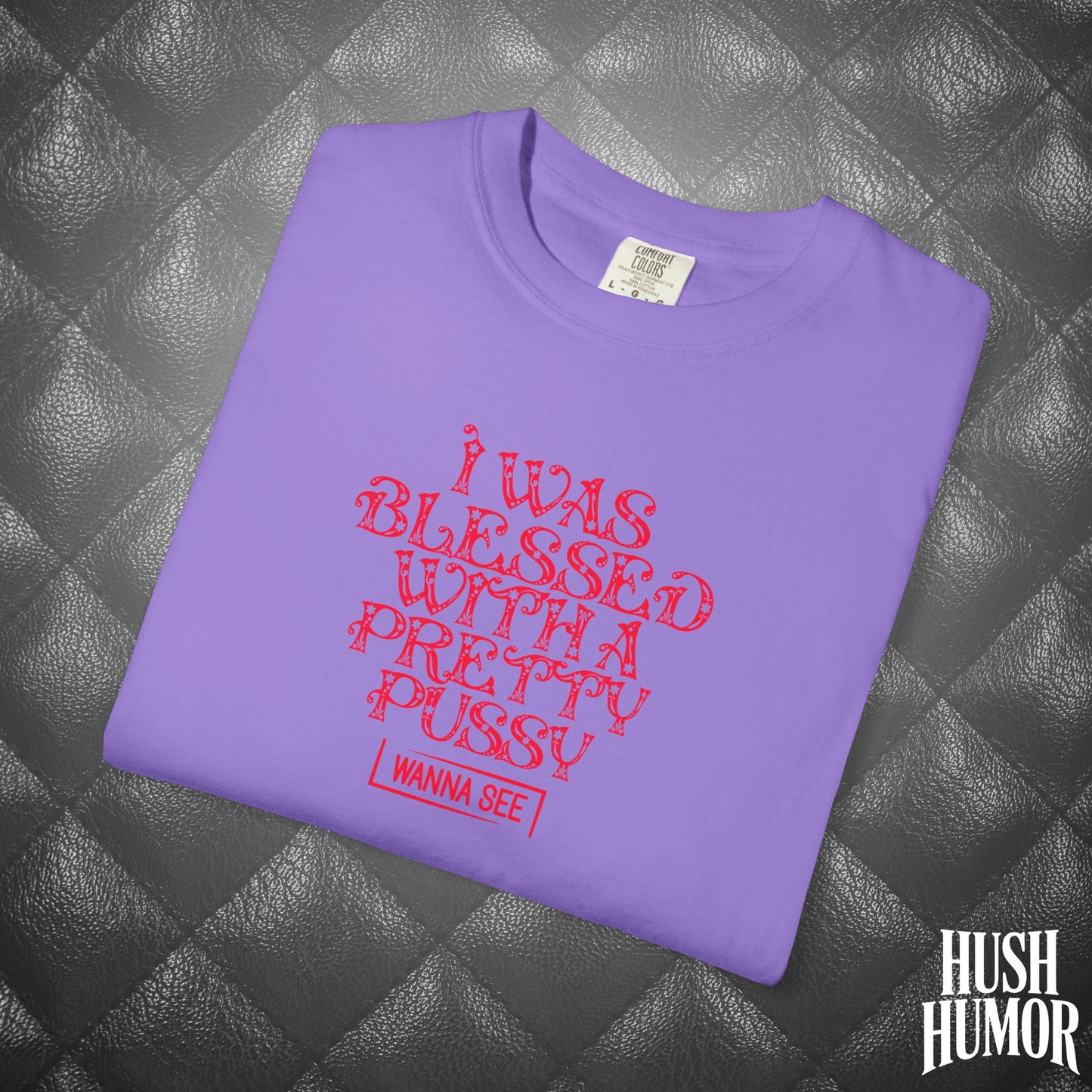 I Was Blessed with a Pretty Psssy Naughty T-Shirt – Girl Power FEMdom Shirt, Dirty MILF Gift, Hot Mom Graphic Tee, NSFW Summer Party Shirt