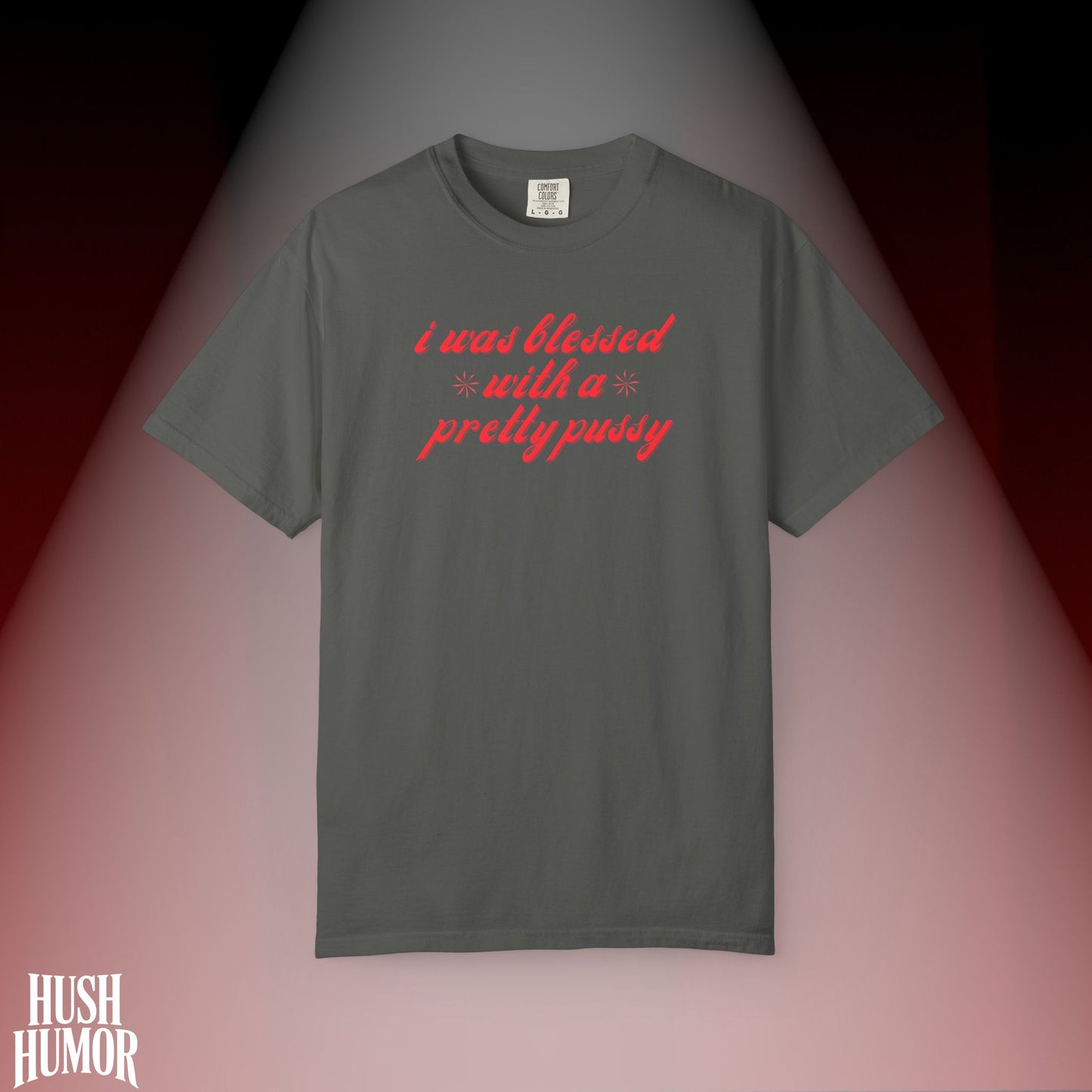 I Was Blessed With a Pretty Psssy T-Shirt Dirty MILF BDSM Dom/Sub Graphic Shirt