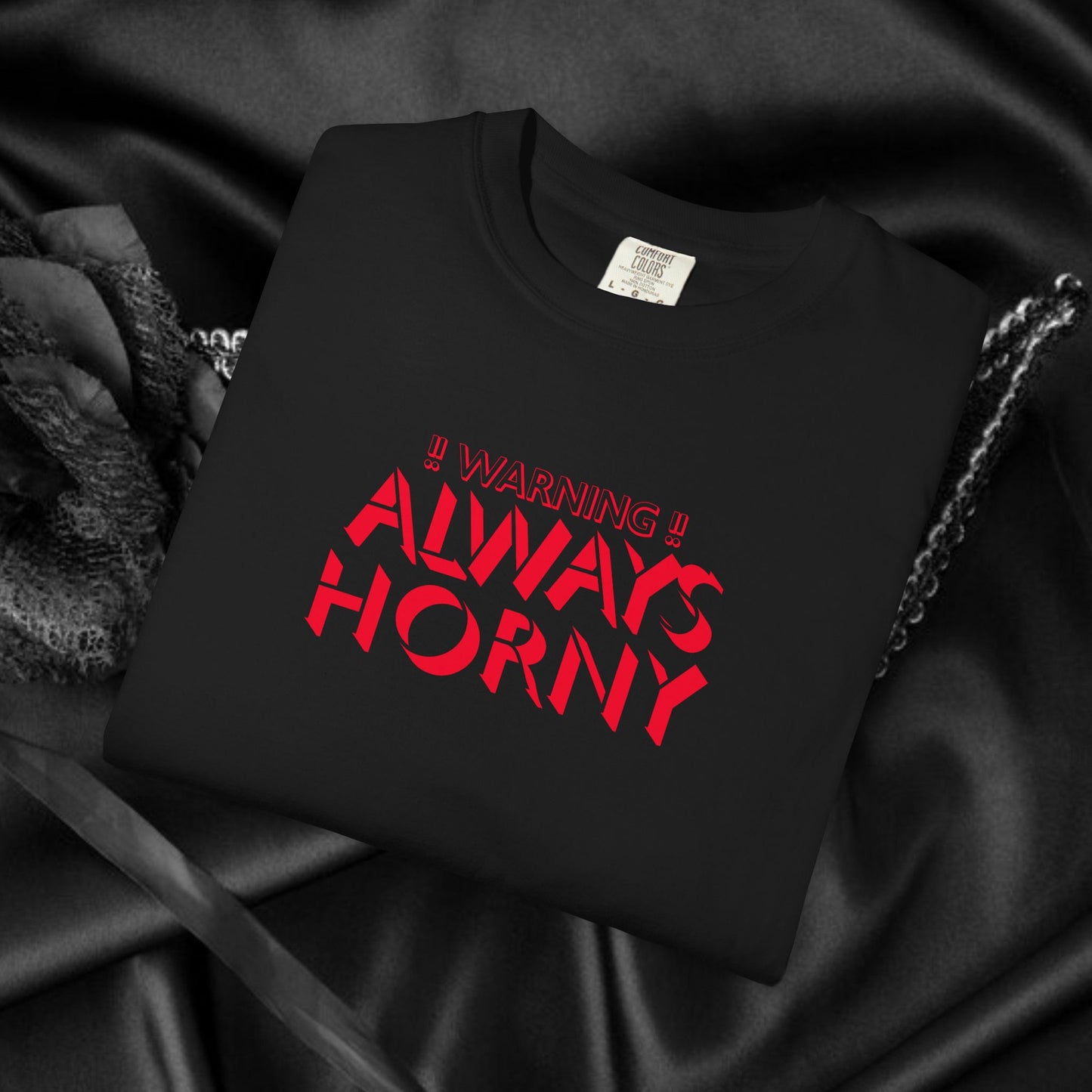 Naughty Shirt Women's Tshirt, Sexy Saying Tee, Inappropriate Ladies Comfort Colors, Funny Mature Apparel, Offensive Wife Gift, Horny Joke