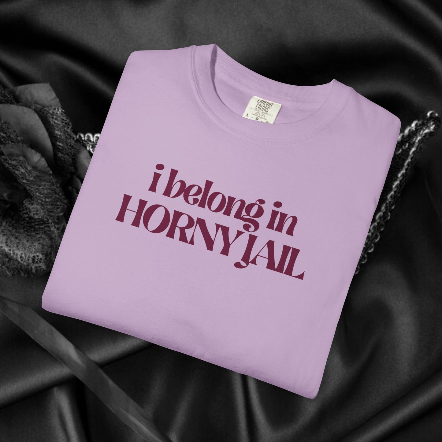 I Belong in Horny Jail, Fun Adult Gift, Inappropriate Offensive Ladies tshirt