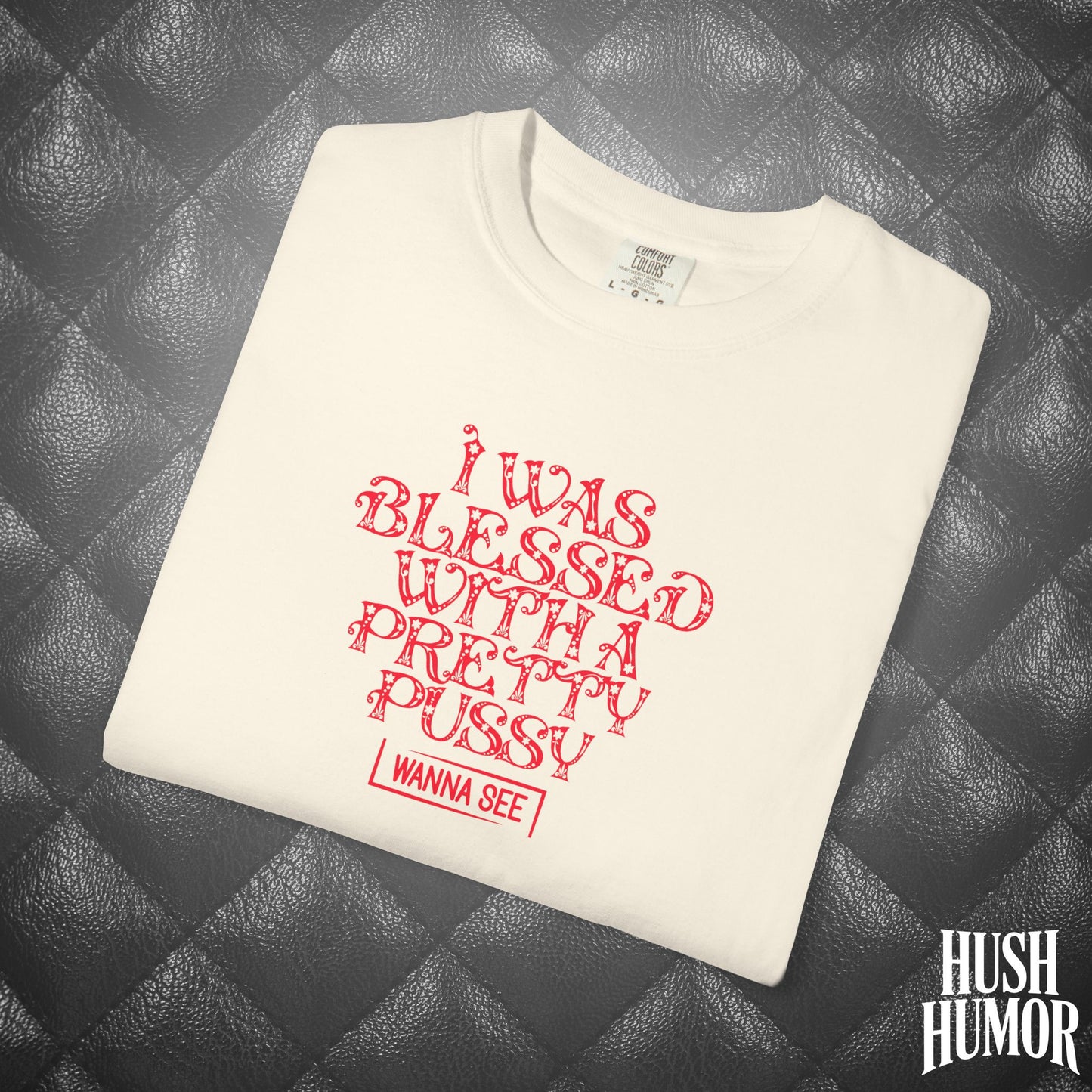 I Was Blessed with a Pretty Psssy Naughty T-Shirt – Girl Power FEMdom Shirt, Dirty MILF Gift, Hot Mom Graphic Tee, NSFW Summer Party Shirt