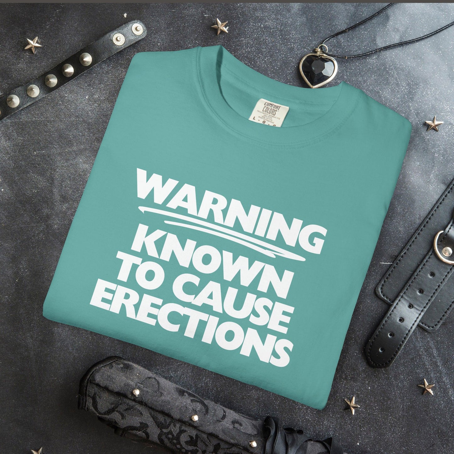 Naughty Shirt – WARNING Known to Cause Erections Adult Garment-Dyed Comfort Colors Tee