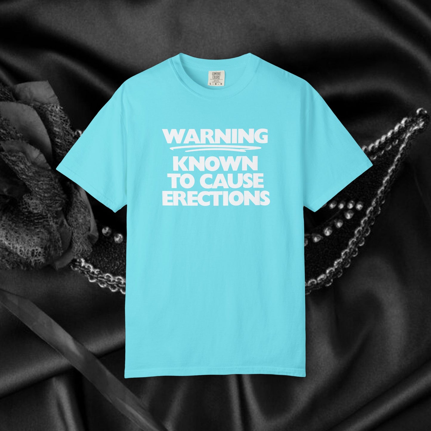 Naughty Shirt – WARNING Known to Cause Erections Adult Garment-Dyed Comfort Colors Tee