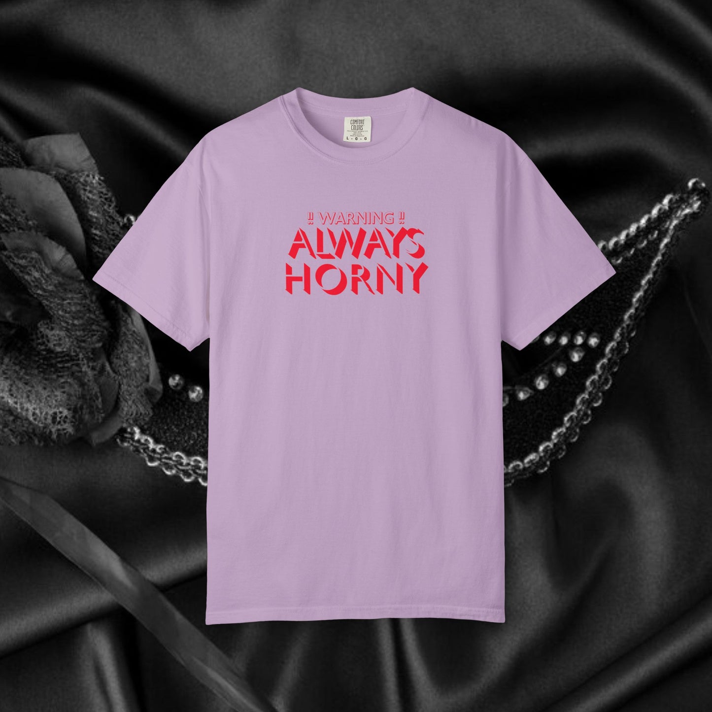 Naughty Shirt Women's Tshirt, Sexy Saying Tee, Inappropriate Ladies Comfort Colors, Funny Mature Apparel, Offensive Wife Gift, Horny Joke