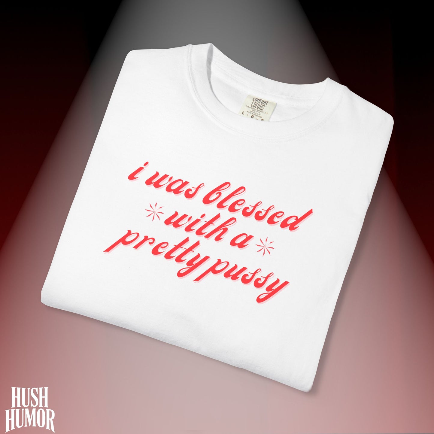 I Was Blessed With a Pretty Psssy T-Shirt Dirty MILF BDSM Dom/Sub Graphic Shirt