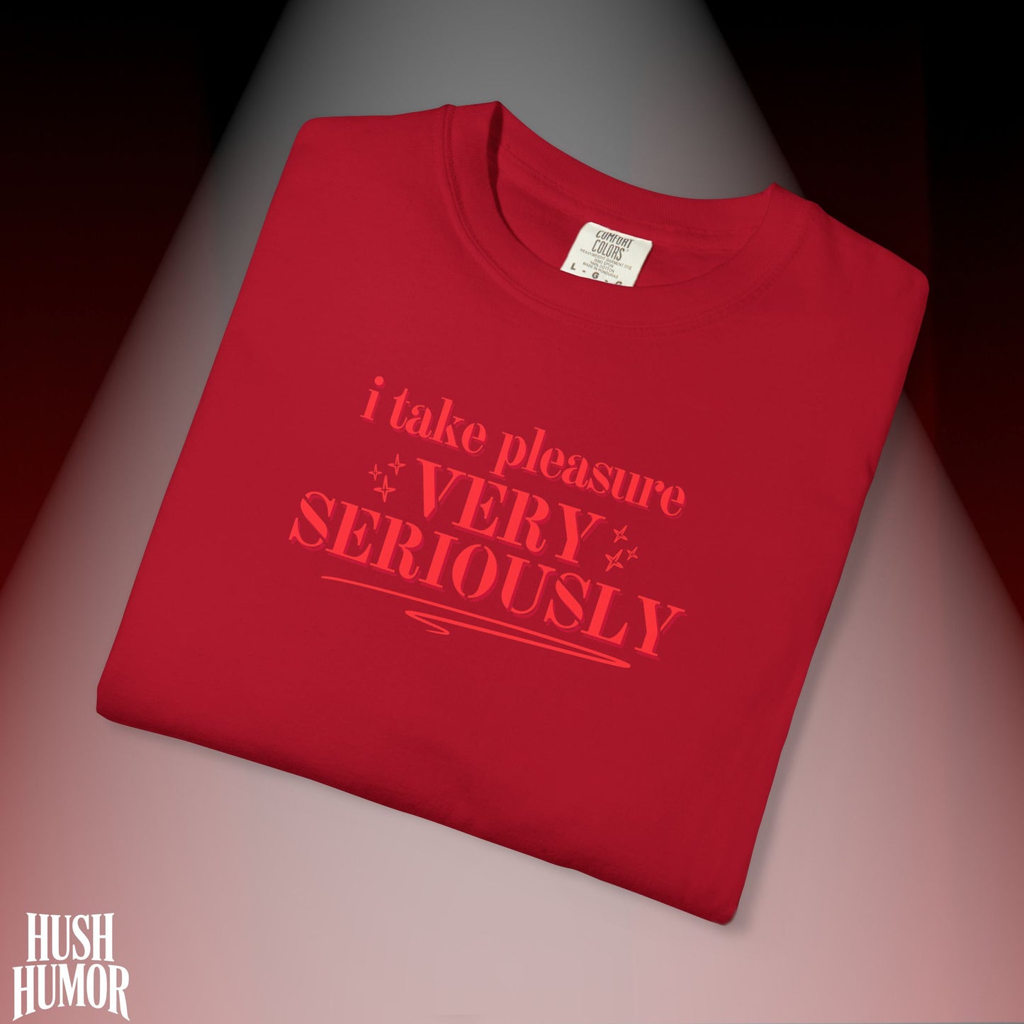 FEMdom T-Shirt | Naughty BDSM Lifestyle Tee | Sexy NSFW Pleasure Shirt | Offensive Shocking Gift for Hot Wife | Kinky Summer Party Top