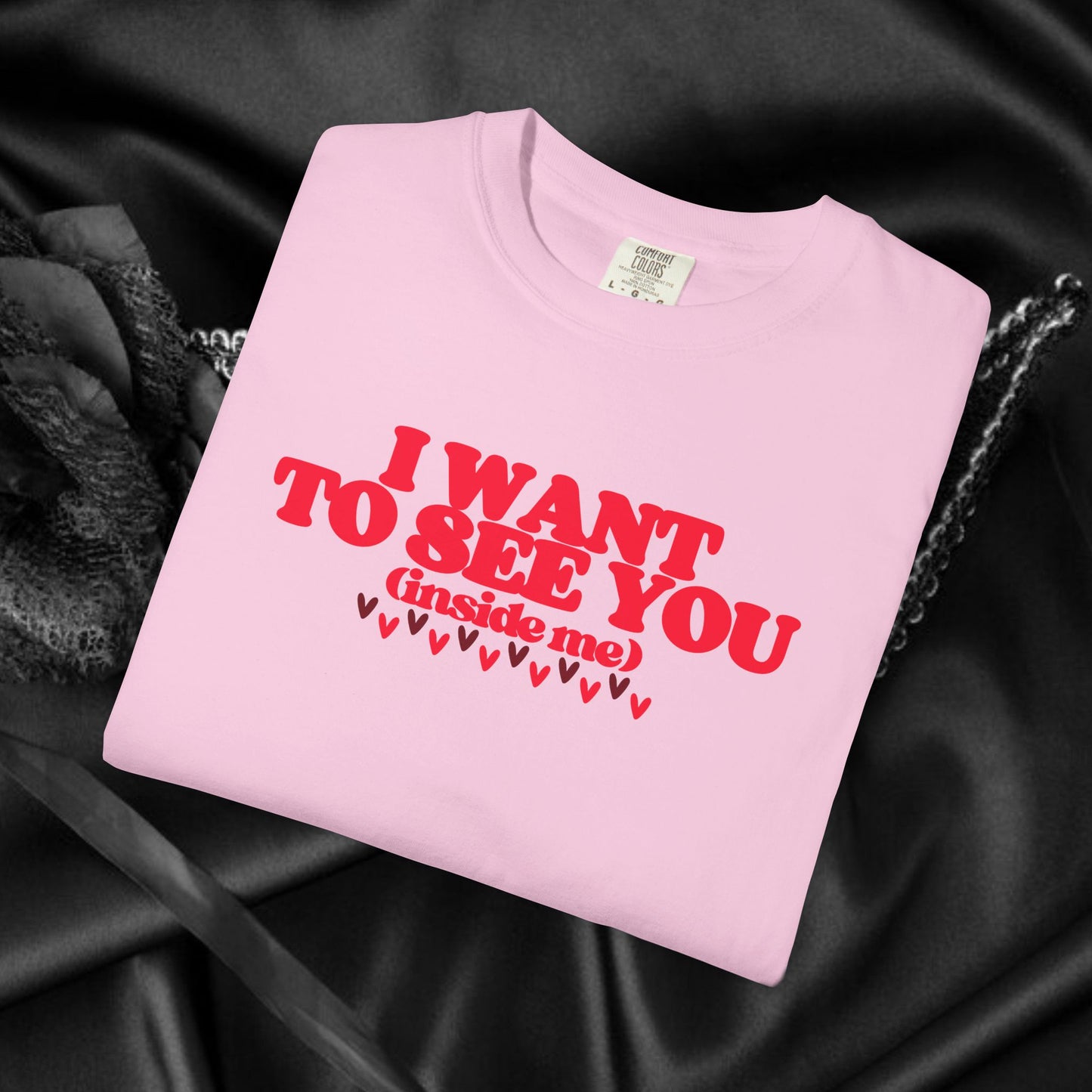 I Want to See You Inside Me, dirty apparel for naughty girls, Funny Saying tshirt NSFW Apparel