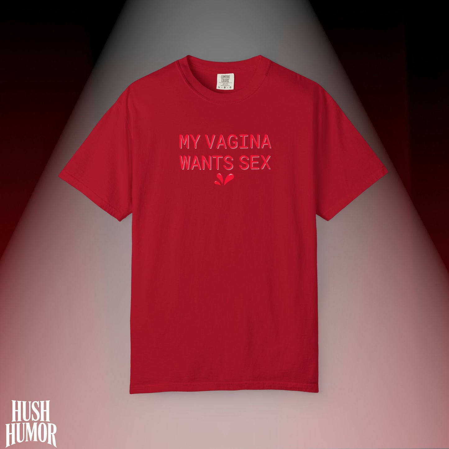 My Vagina Wants Sex Shirt – Funny NSFW T-Shirt for Hot Wife, Naughty Party Tee