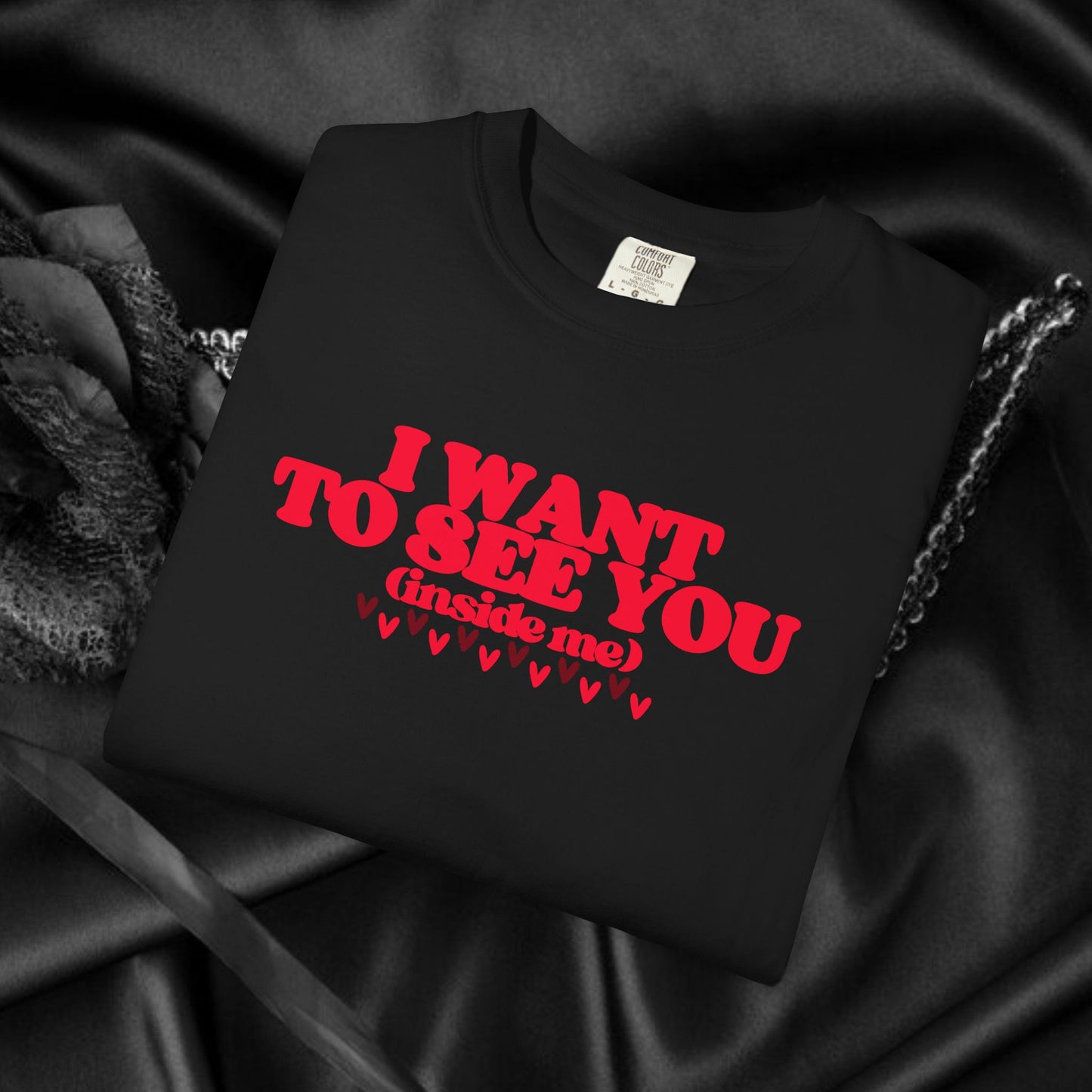 I Want to See You Inside Me, dirty apparel for naughty girls, Funny Saying tshirt NSFW Apparel