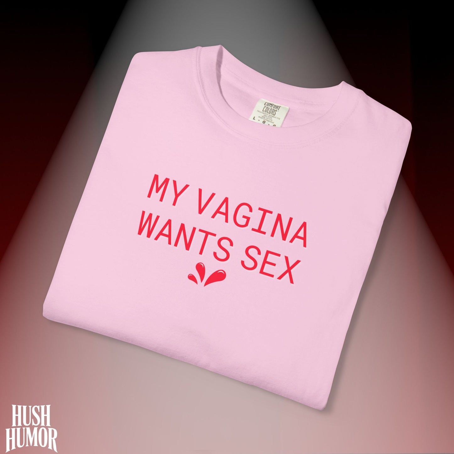 My Vagina Wants Sex Shirt – Funny NSFW T-Shirt for Hot Wife, Naughty Party Tee