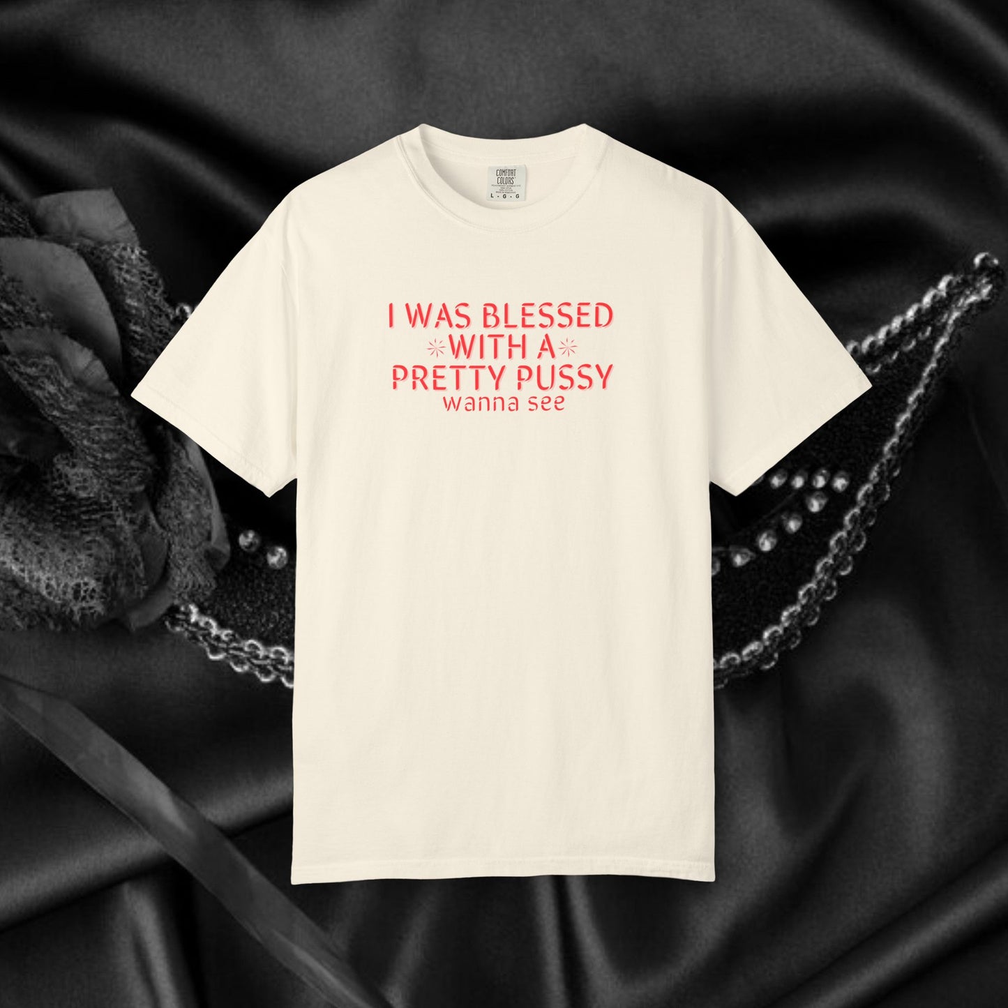 I Was Blessed With a Pretty P*ssy T-Shirt – Naughty Girl P*ssy Power MILF Shirt, Adult Humor Party Tee