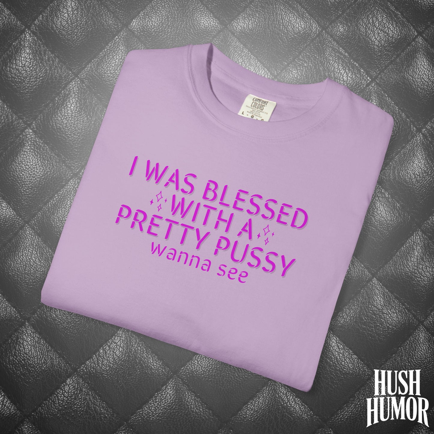 I Was Blessed With a Pretty Psssy T-Shirt – Naughty Girl Power Shirt, Dirty Wife Tee, Kink Shirt