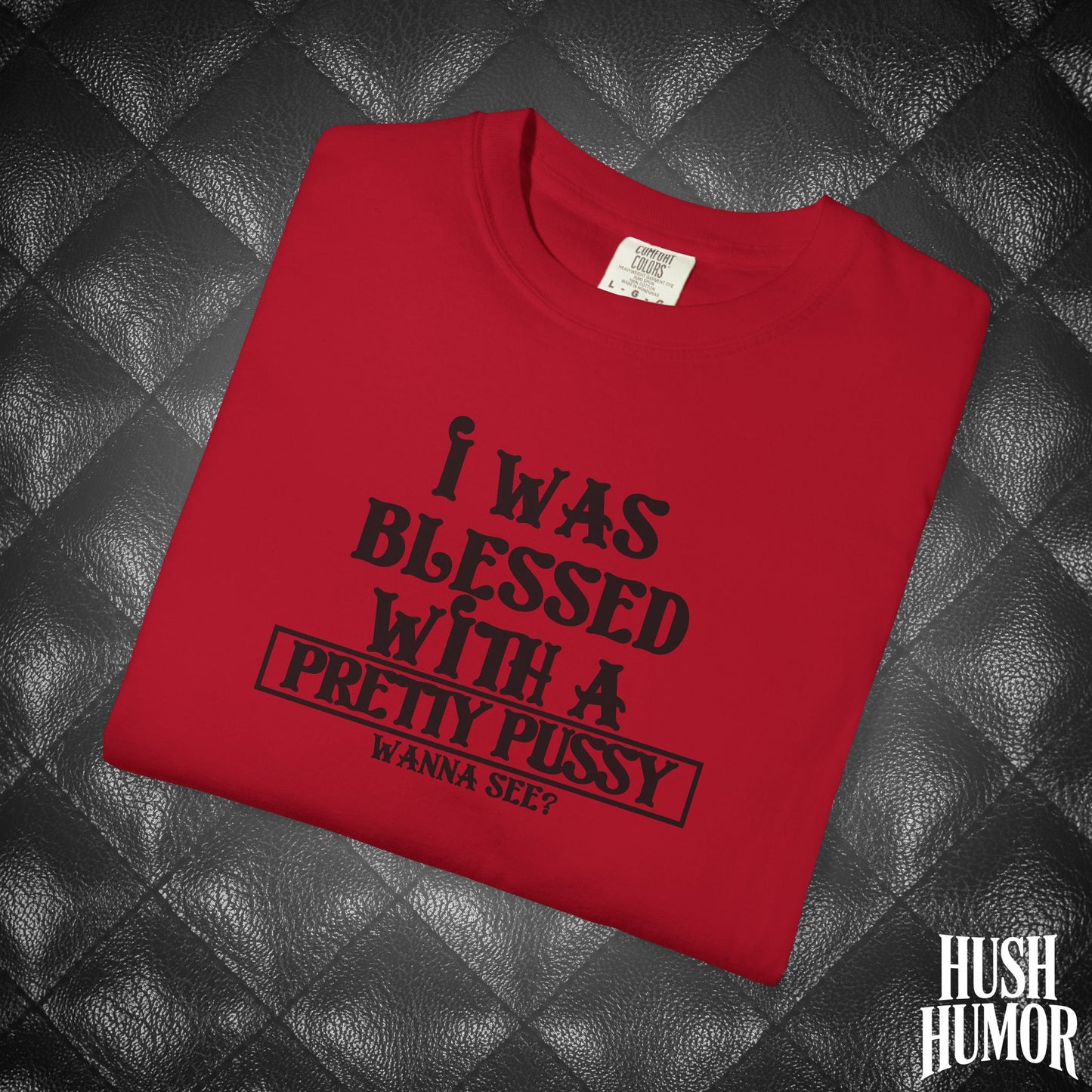I Was Blessed With a Pretty Psssy Shirt – Naughty FEMdom BDSM Dom Sub Tee for Wife