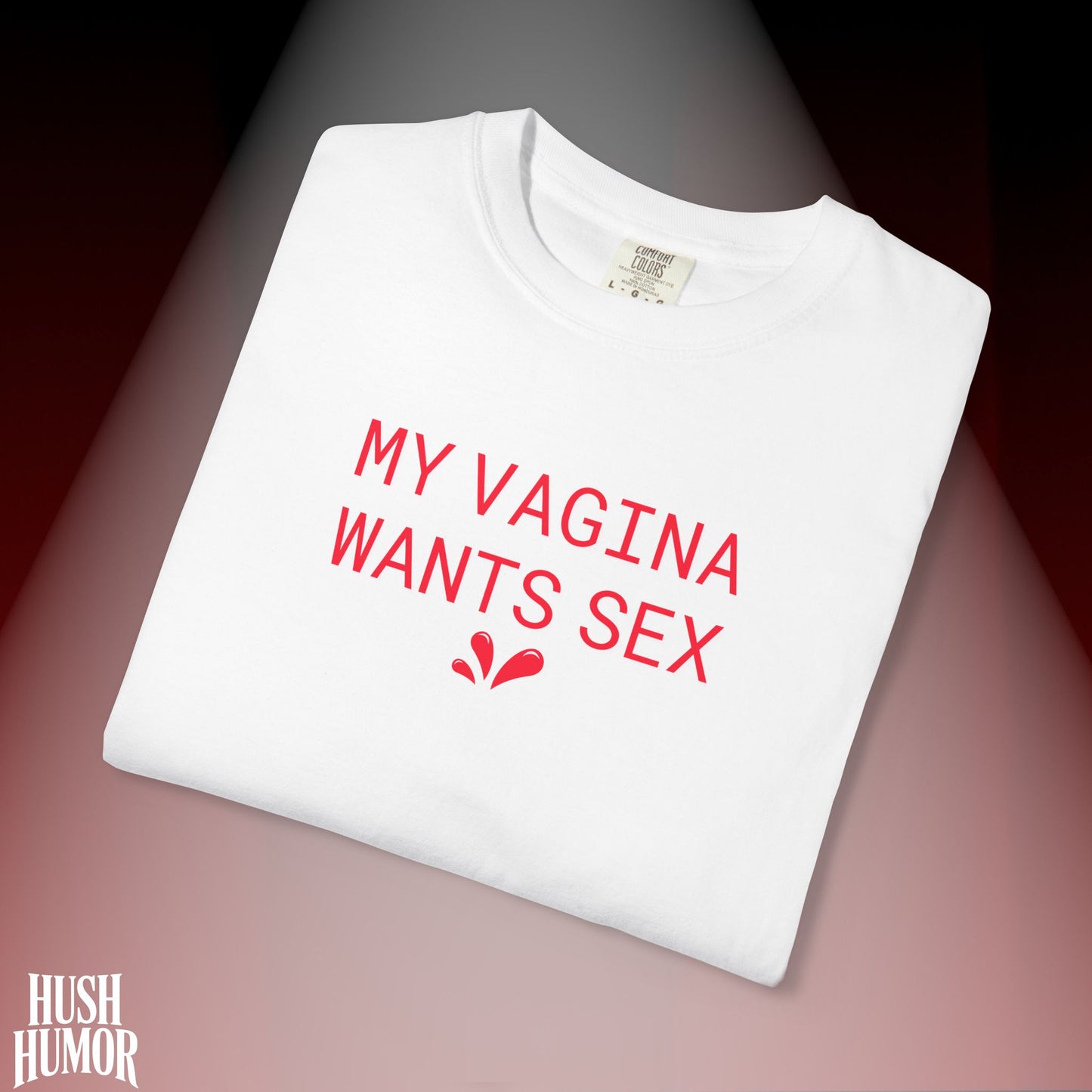 My Vagina Wants Sex Shirt – Funny NSFW T-Shirt for Hot Wife, Naughty Party Tee