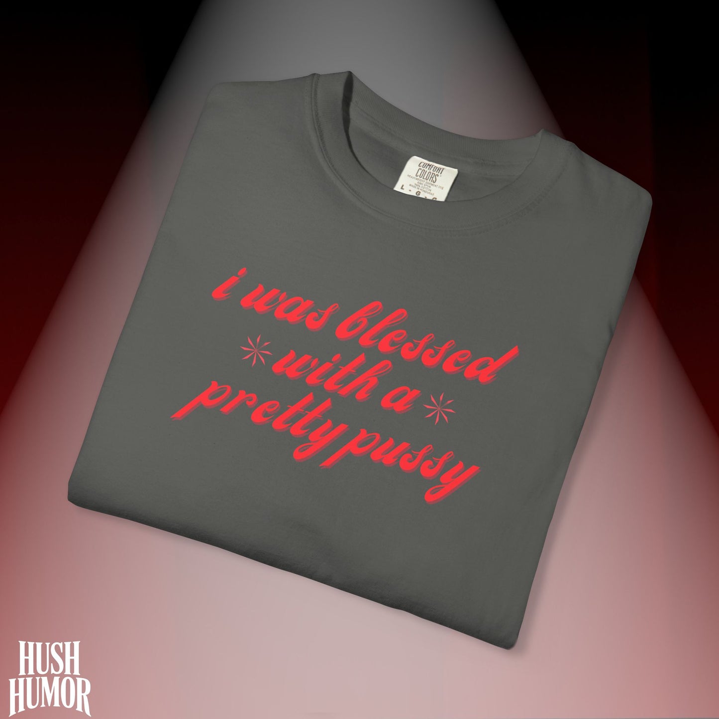 I Was Blessed With a Pretty Psssy T-Shirt Dirty MILF BDSM Dom/Sub Graphic Shirt