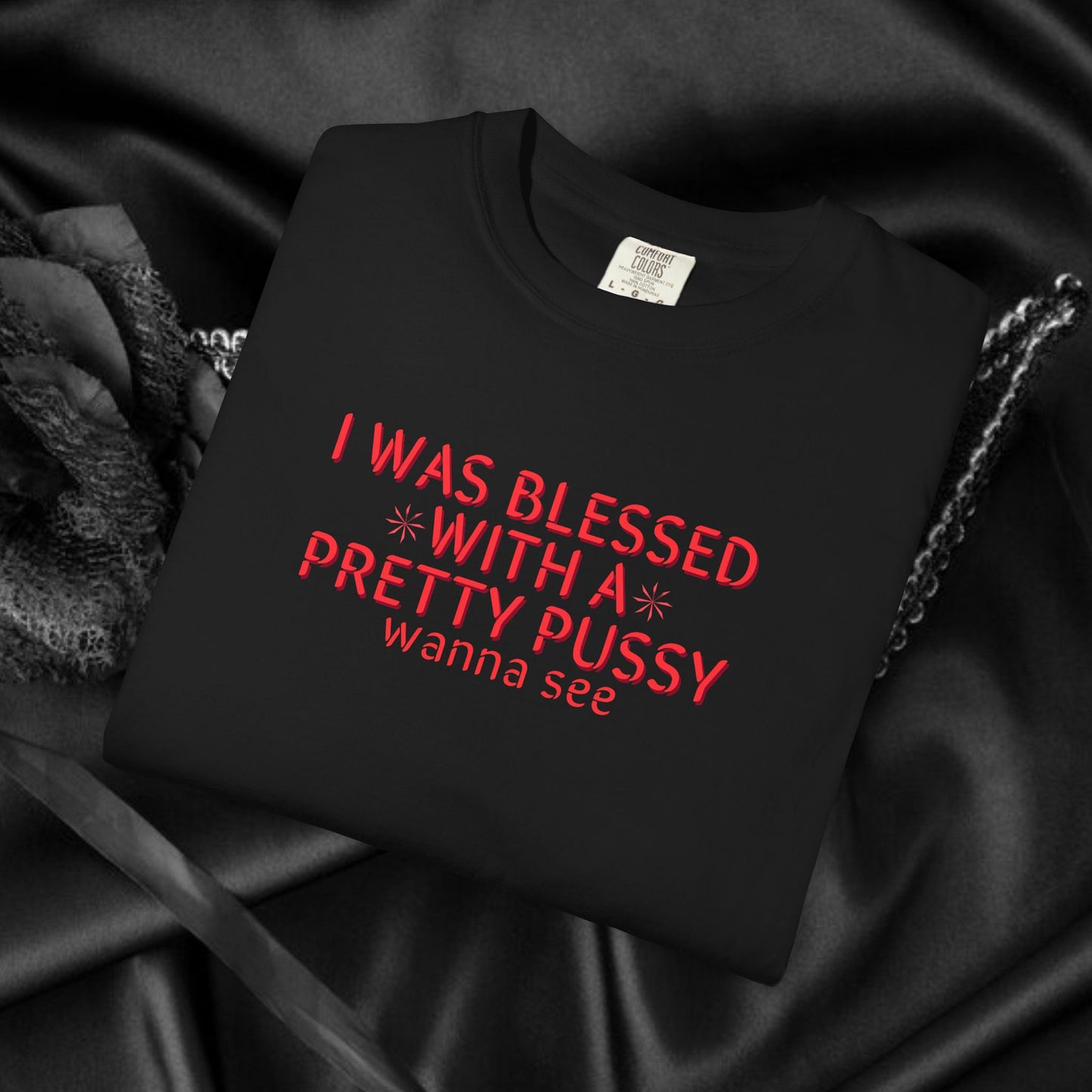 I Was Blessed With a Pretty P*ssy T-Shirt – Naughty Girl P*ssy Power MILF Shirt, Adult Humor Party Tee