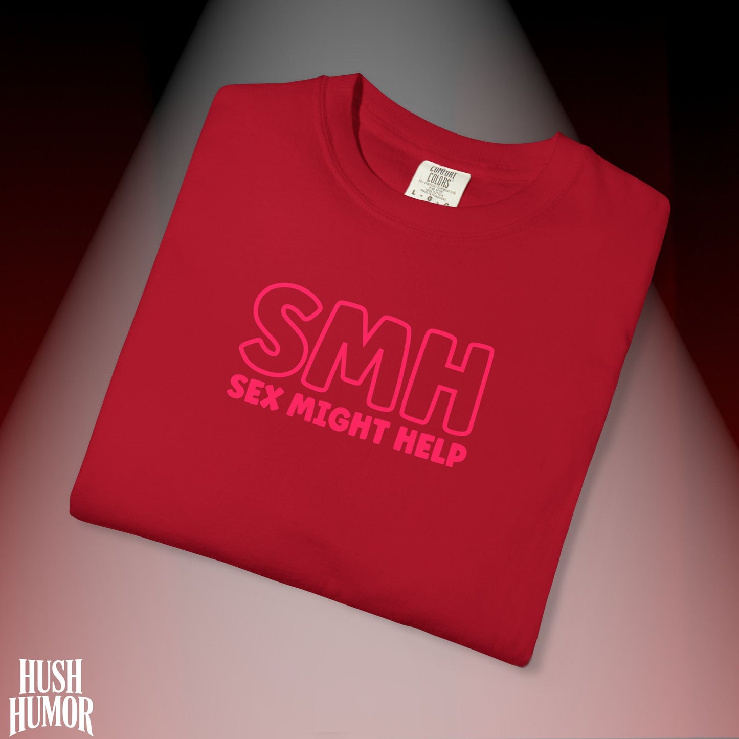 SMH Sex Might Help T-Shirt | Funny Comfort Colors Bold Statement Tee | Inappropriate Concert Shirt for Naughty Women | Festival Summer Top