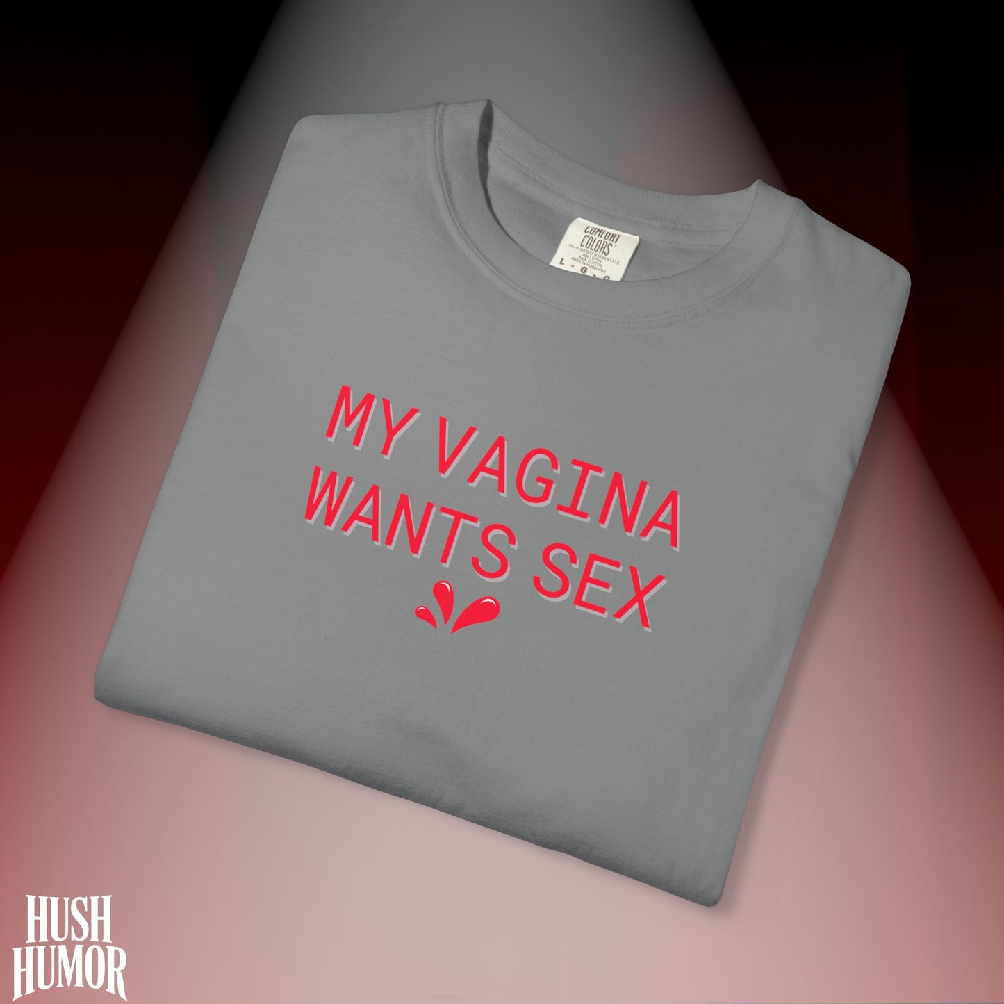 My Vagina Wants Sex Shirt – Funny NSFW T-Shirt for Hot Wife, Naughty Party Tee
