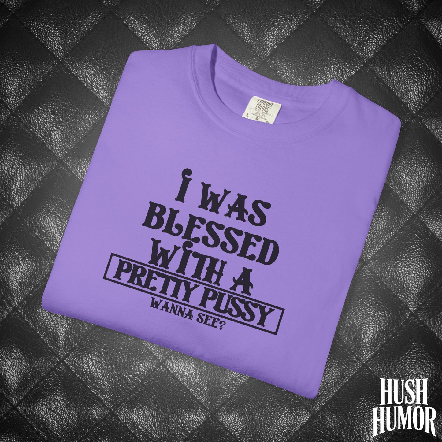 I Was Blessed With a Pretty Psssy Shirt – Naughty FEMdom BDSM Dom Sub Tee for Wife
