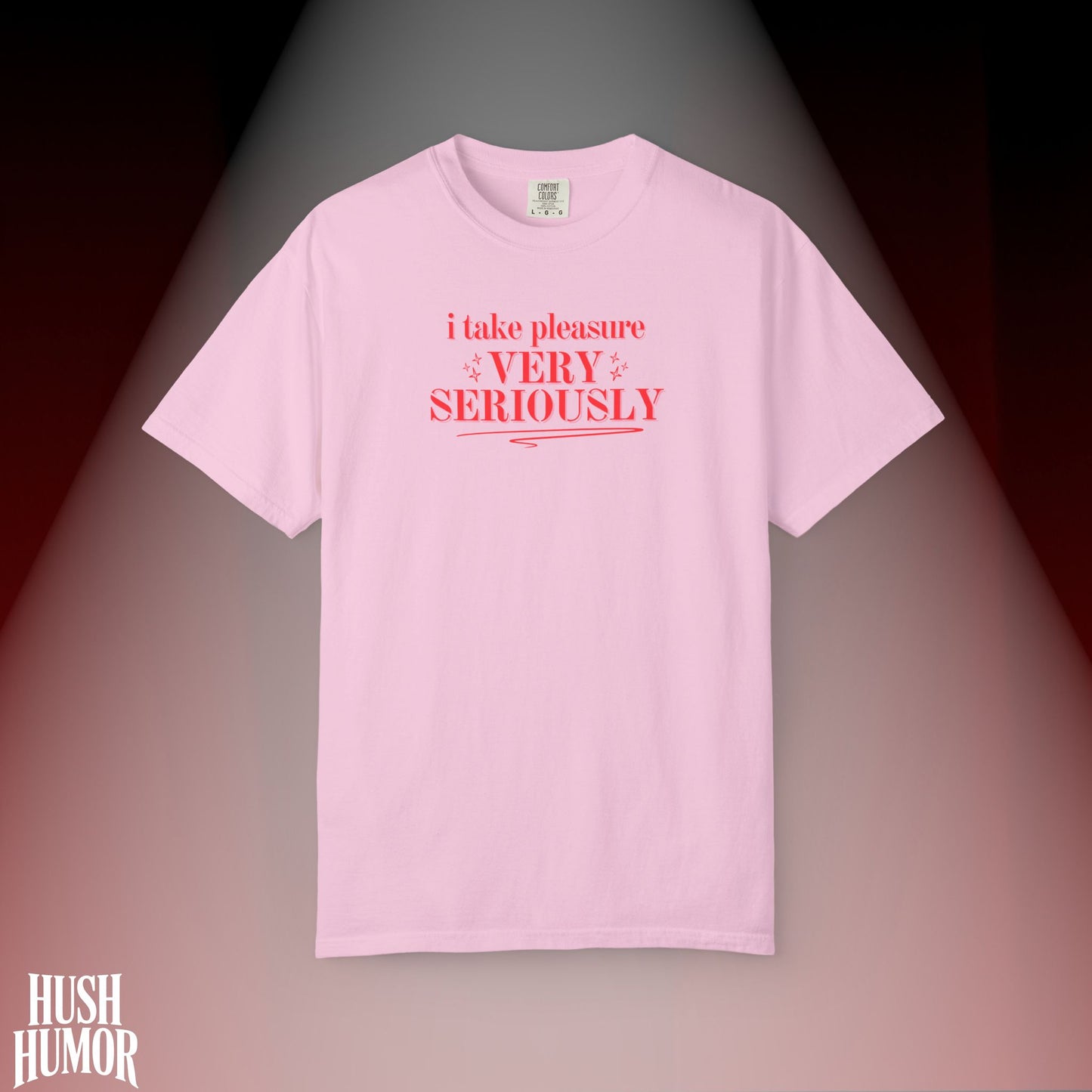 FEMdom T-Shirt | Naughty BDSM Lifestyle Tee | Sexy NSFW Pleasure Shirt | Offensive Shocking Gift for Hot Wife | Kinky Summer Party Top