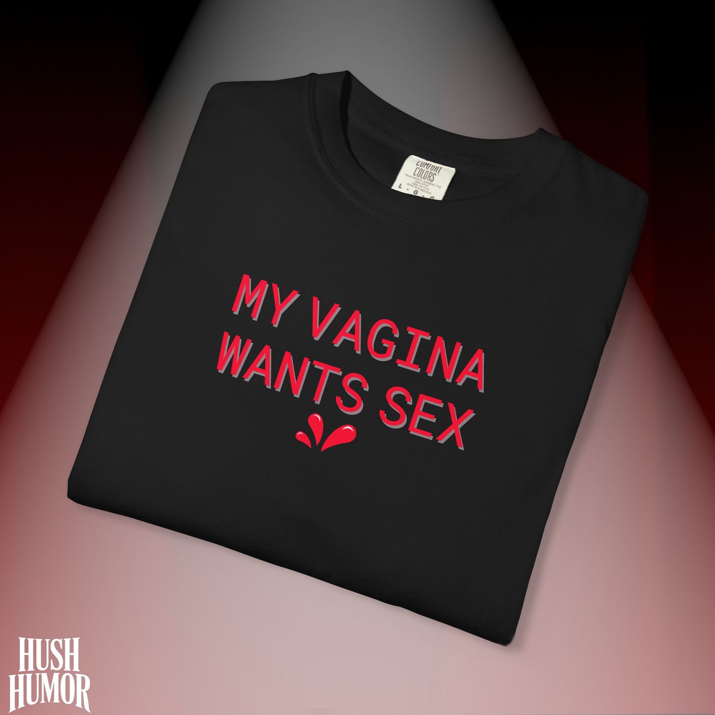 My Vagina Wants Sex Shirt – Funny NSFW T-Shirt for Hot Wife, Naughty Party Tee