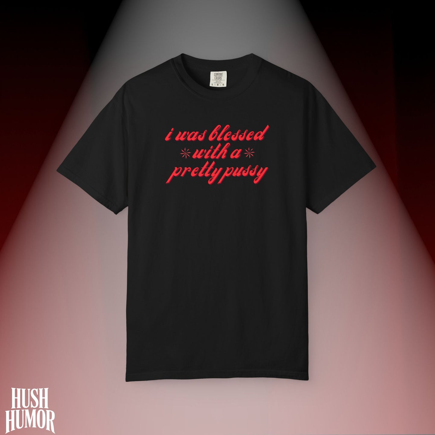 I Was Blessed With a Pretty Psssy T-Shirt Dirty MILF BDSM Dom/Sub Graphic Shirt