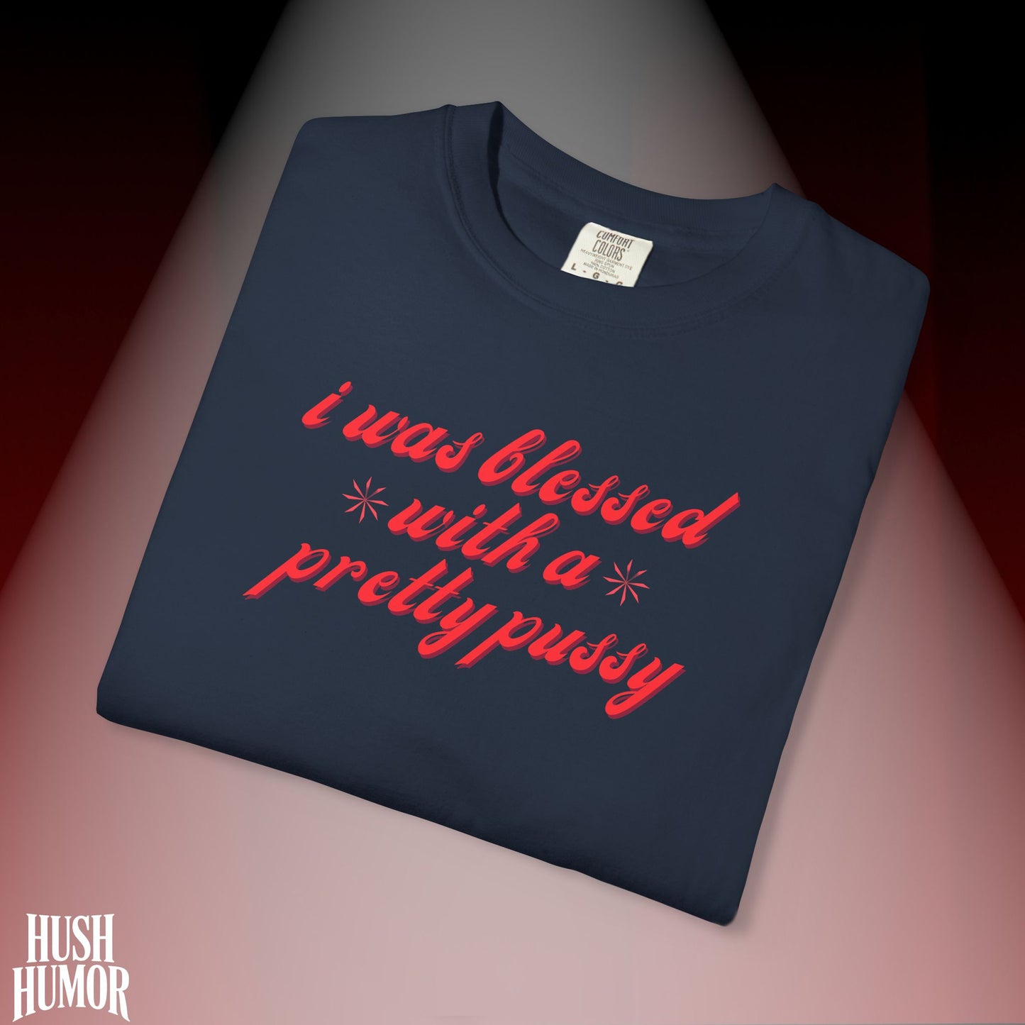 I Was Blessed With a Pretty Psssy T-Shirt Dirty MILF BDSM Dom/Sub Graphic Shirt